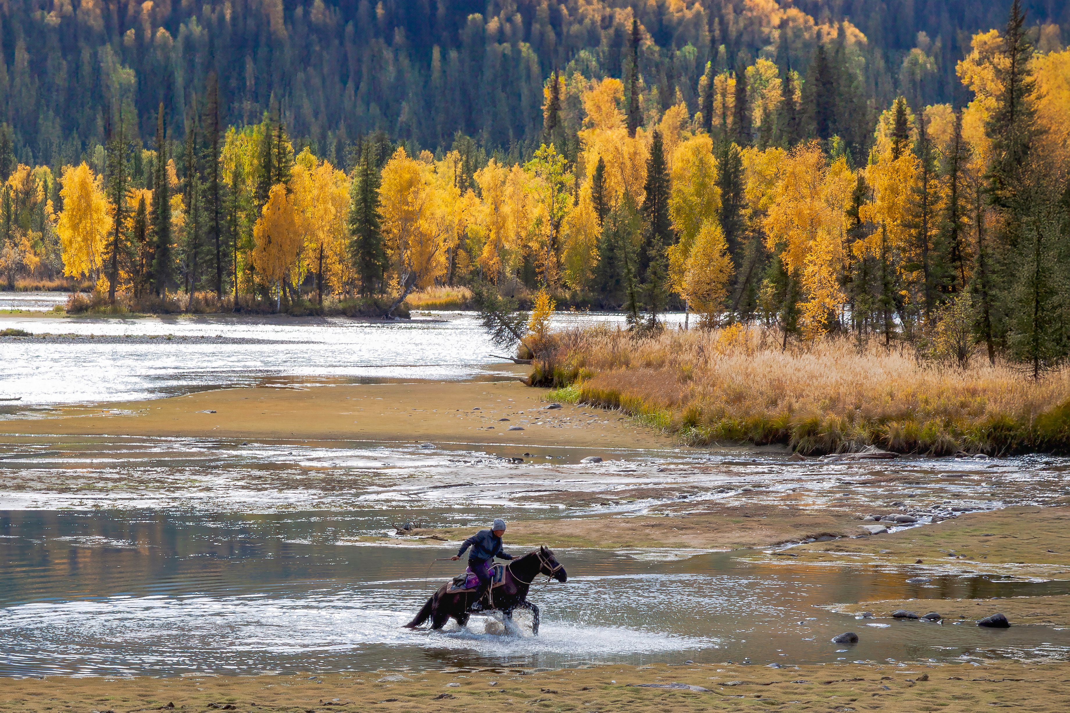 Horseback Riding Through Autumn River Landscape · Free Stock Photo