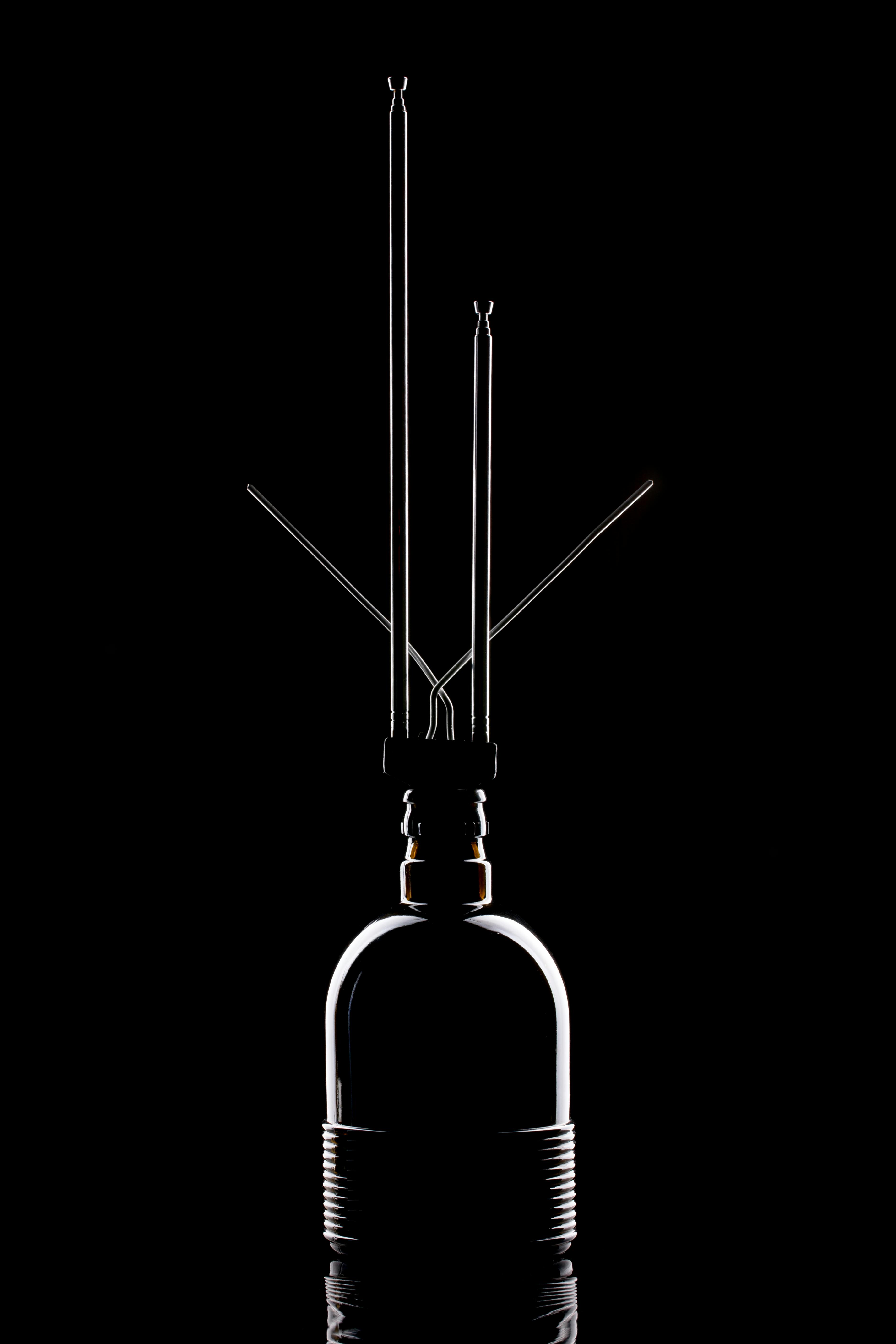 Bulb On & Off Photos, Download The BEST Free Bulb On & Off Stock Photos ...