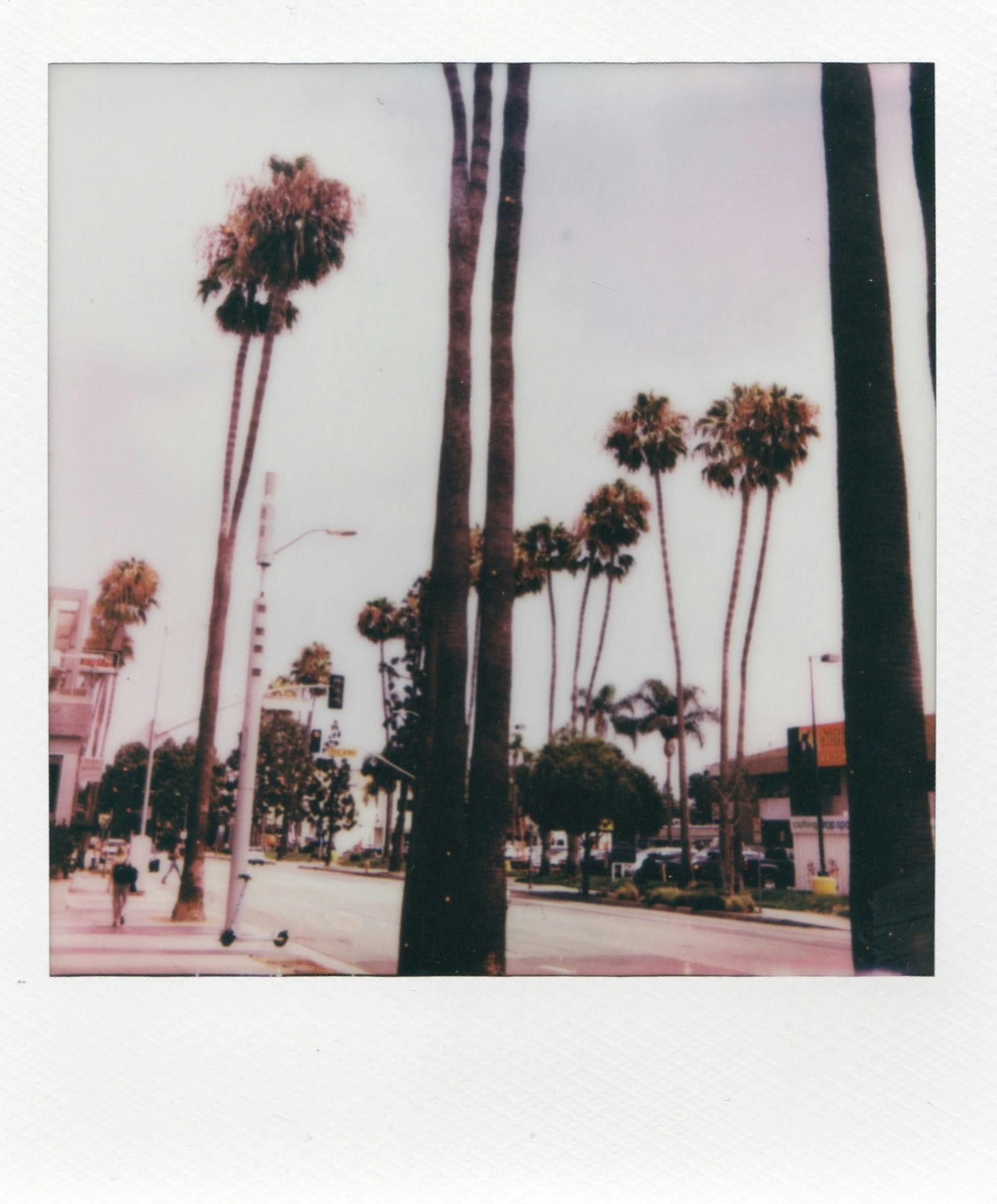 Polaroid photo depicting palm-lined streets of Santa Monica, California, with a vintage summer vibe.