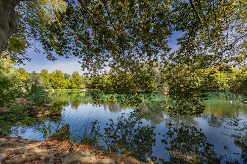 Free Peaceful lake surrounded by lush trees in Anna, Valencia, Spain. Stock Photo