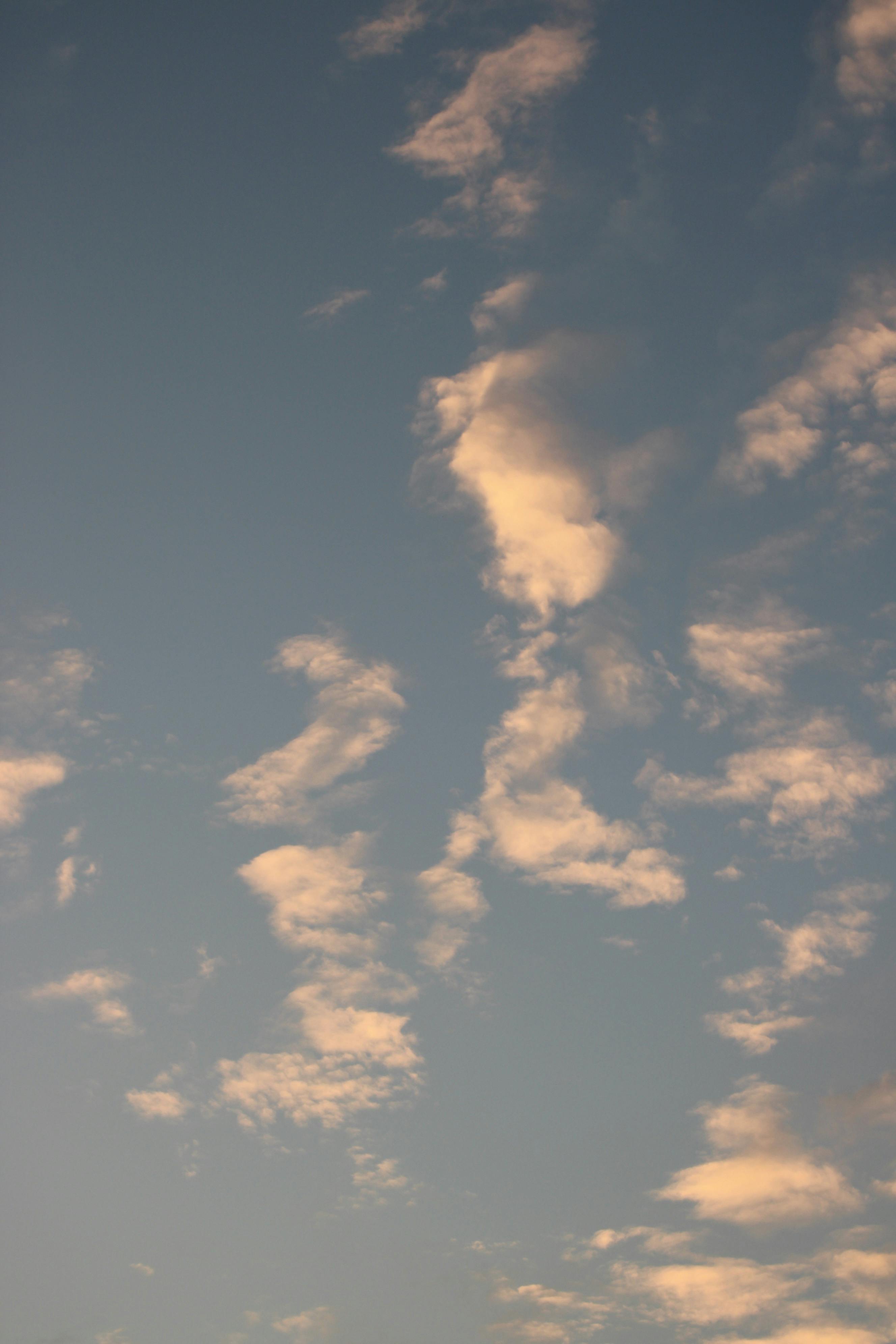 무료 희미해지는 푸른 배경에 부드럽고 흩어진 구름이 있는 평화로운 저녁 하늘입니다. 스톡 사진