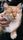 happy cat