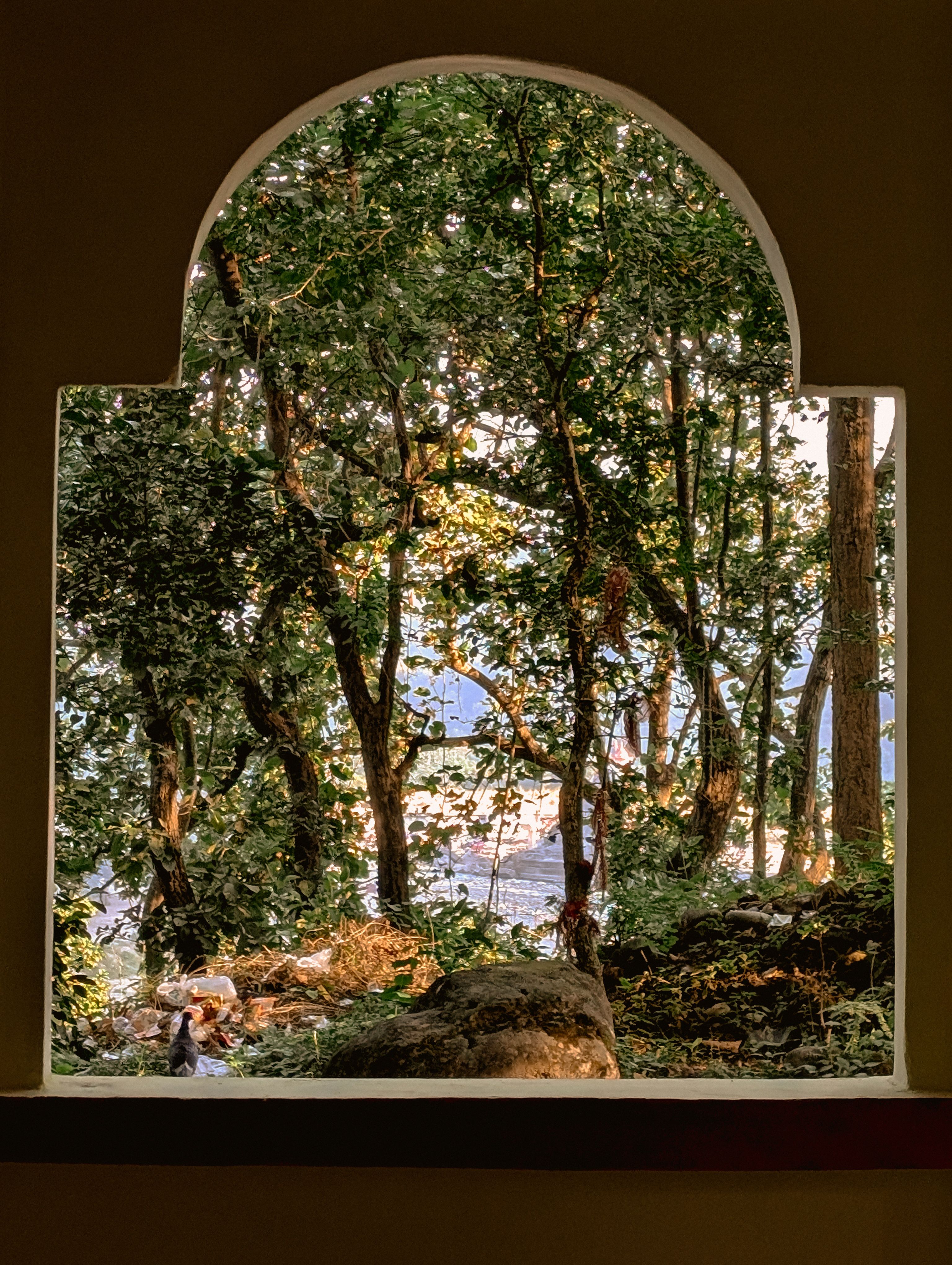 Scenic View Through Arched Window in Forest · Free Stock Photo