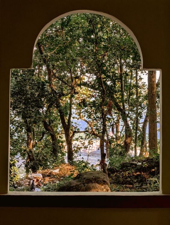 Window In Forest Scenic View Through Arched Window in Forest ยท Free Stock Photo
