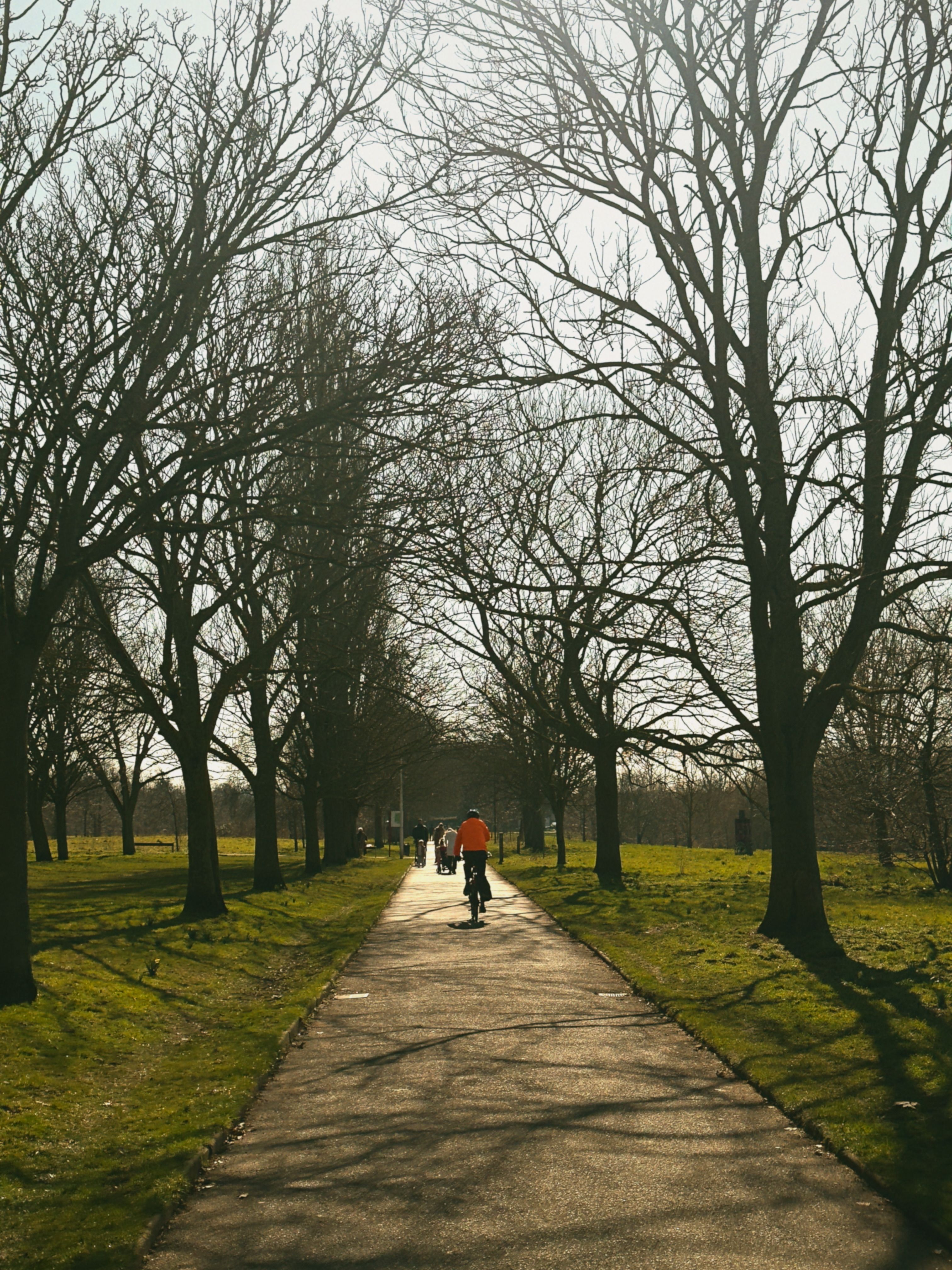 Serene Spring Day Cycling in a Leafless Park · Free Stock Photo
