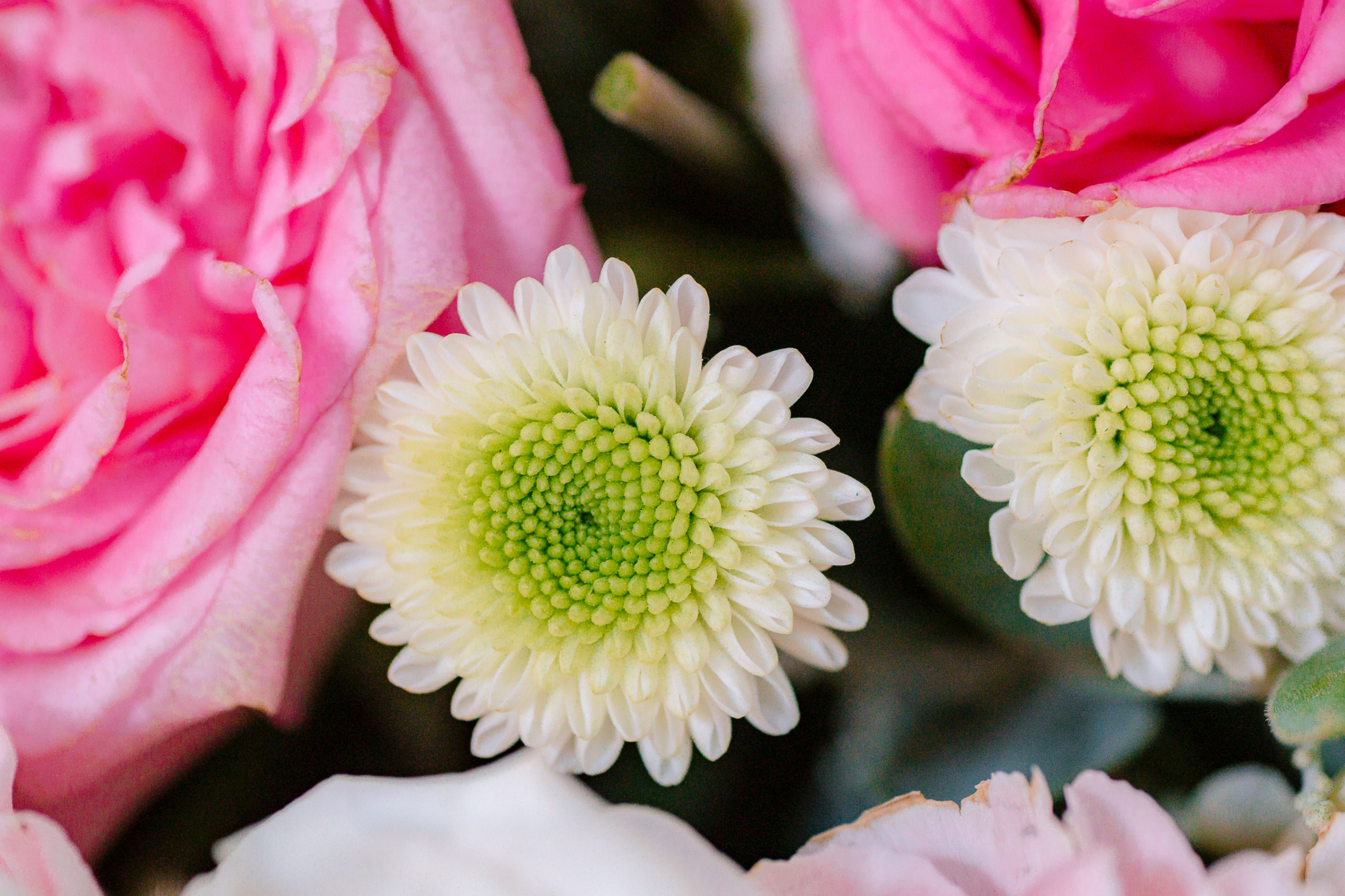 Bouquet personalizzato con fiori di stagione