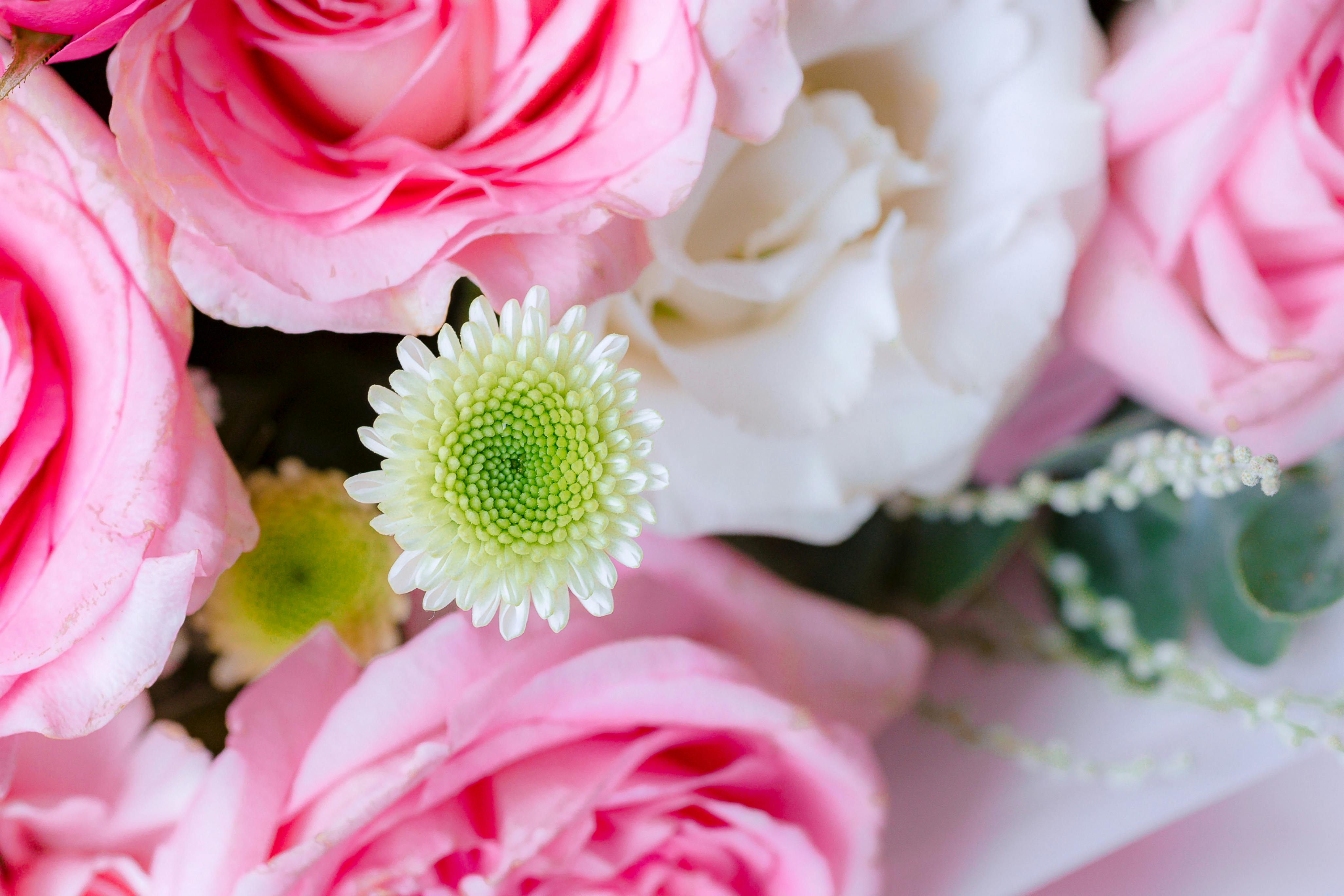 臺中國際會展中心試營運啟動 引領中臺灣躍升國際舞臺