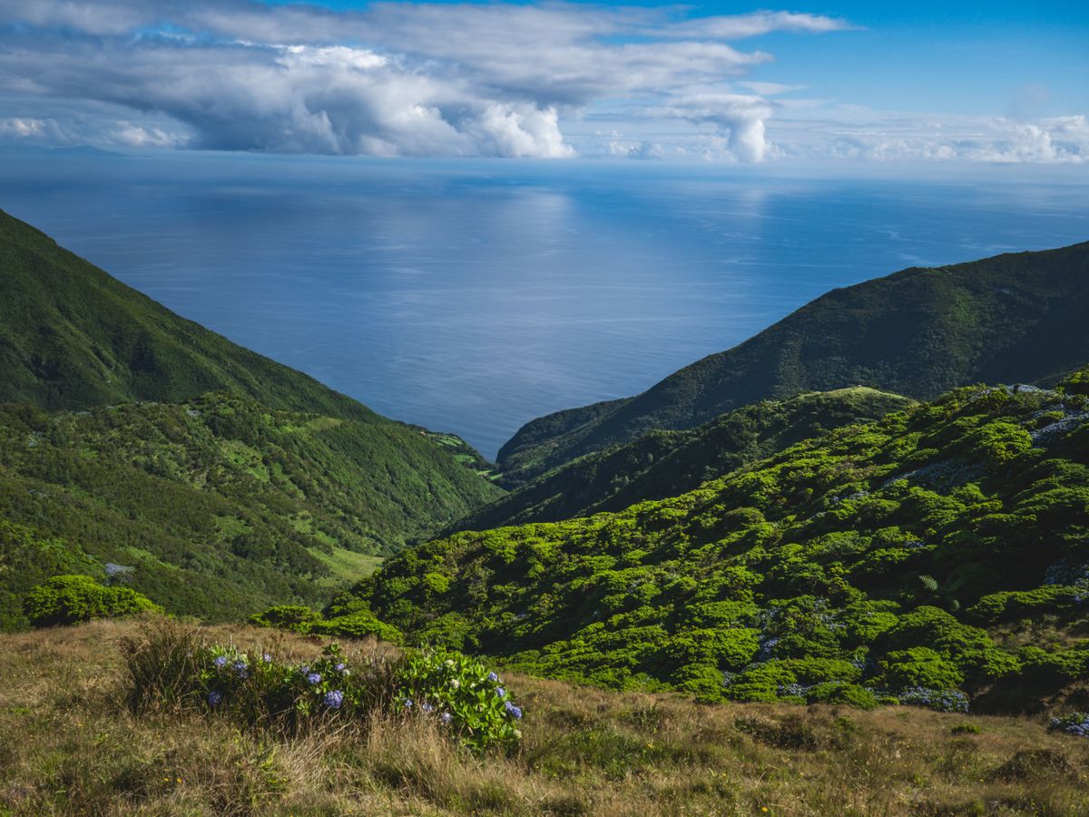 7 Day Untamed & Aligned in the West Indies, Dominica 3