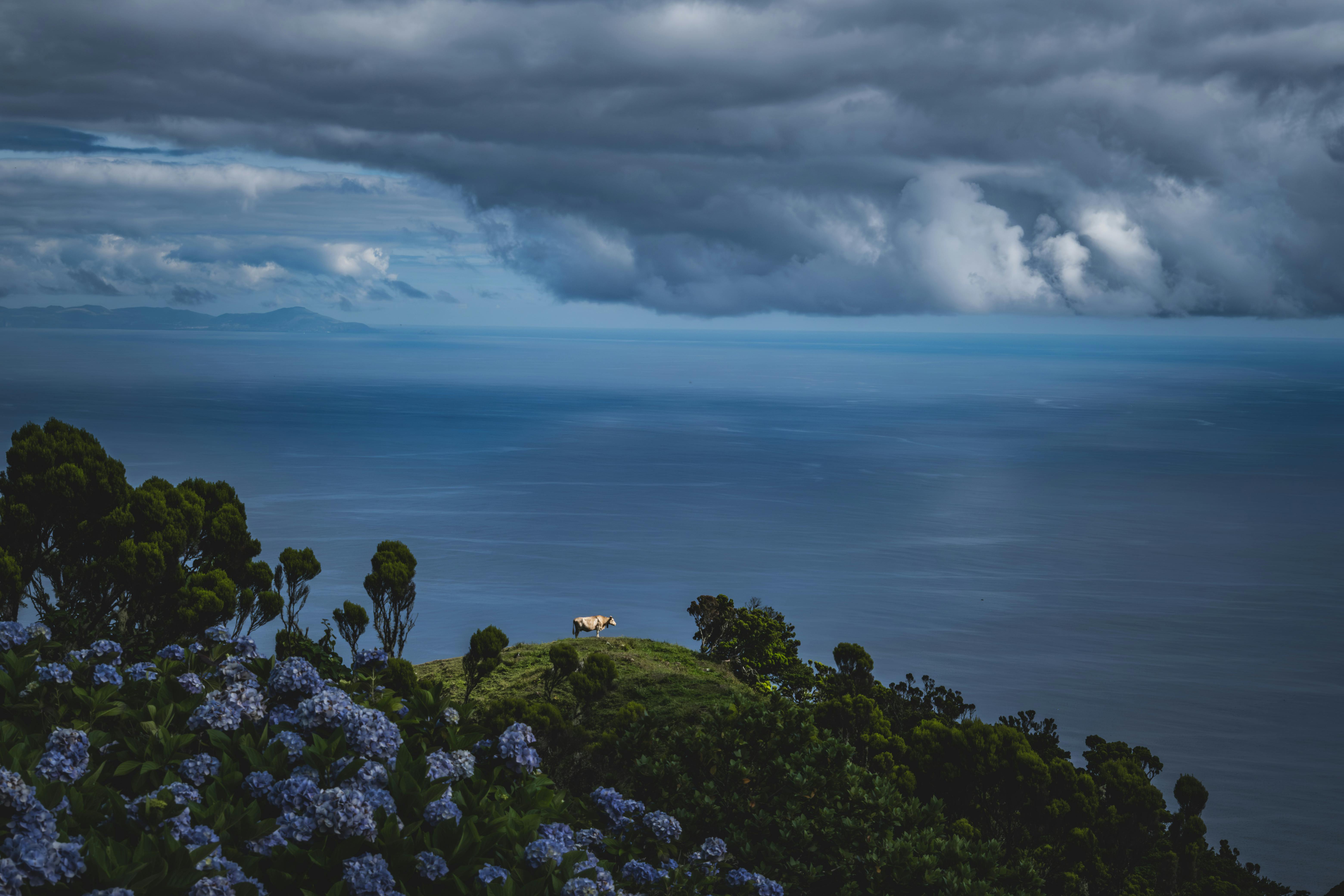 德州禁中國人購房引爭議 移民感政治陰影難避