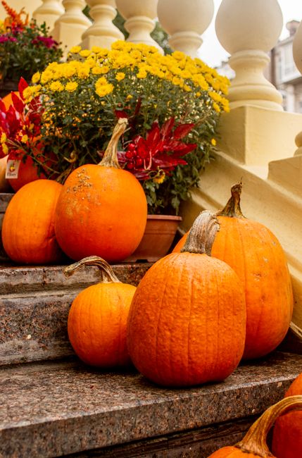 Vibrant pumpkins and flowers adorn steps, celebrating autumn.