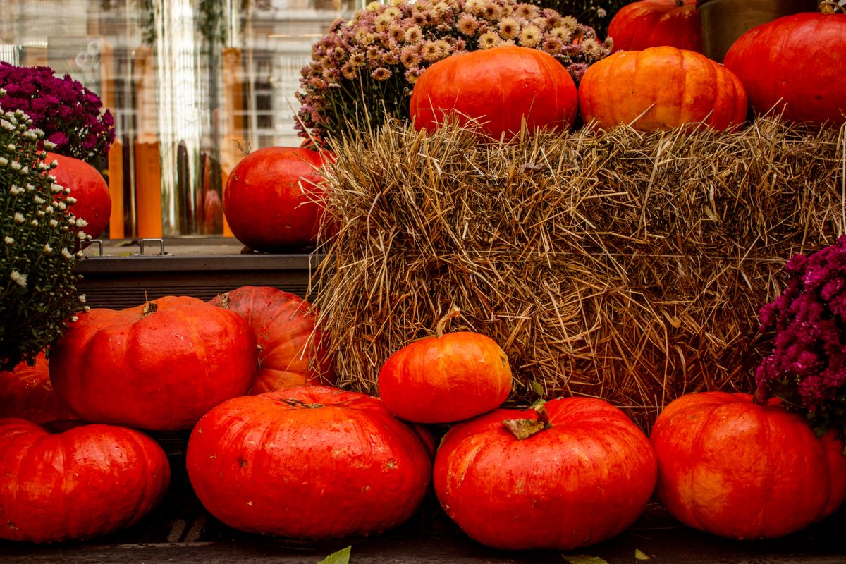 Pumpkins and fall flowers arranged on a hay bale in autumn