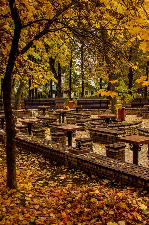 Free Golden autumn leaves in a quiet urban park with empty benches and tables. Stock Photo