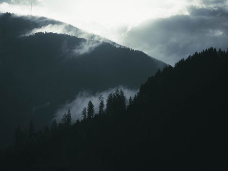 Dramatic view of mist and clouds over lush forested mountains.