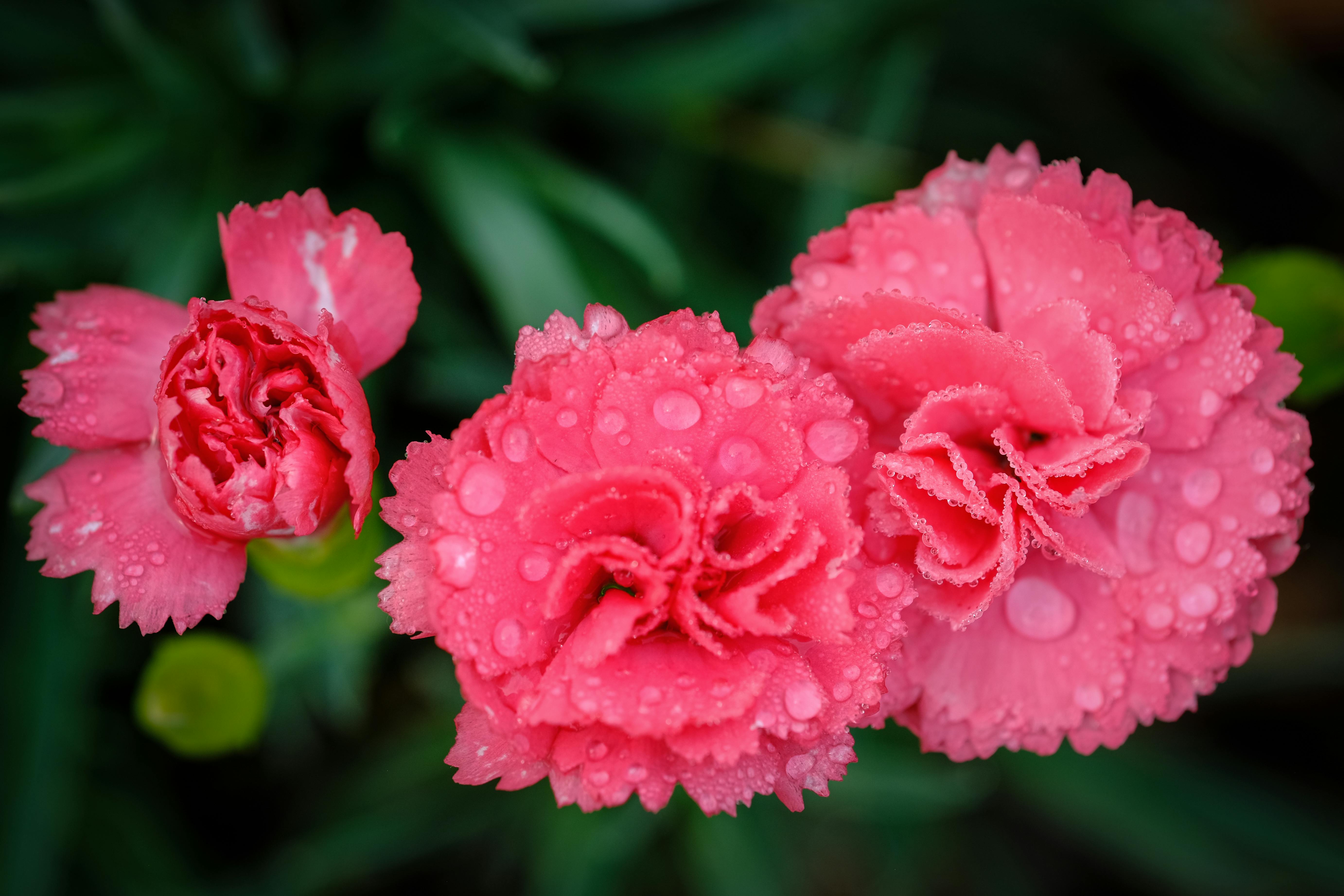 生活：快訊》暴雨狂炸7縣市發布豪雨特報 氣象署籲防範積水災害