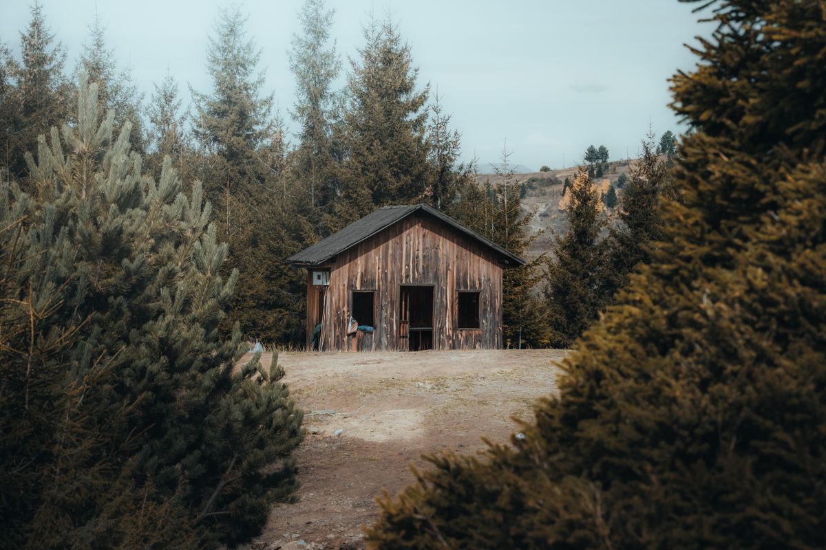 home removals in Flexbury — Loaded properly: blankets, straps and a plan in Flexbury