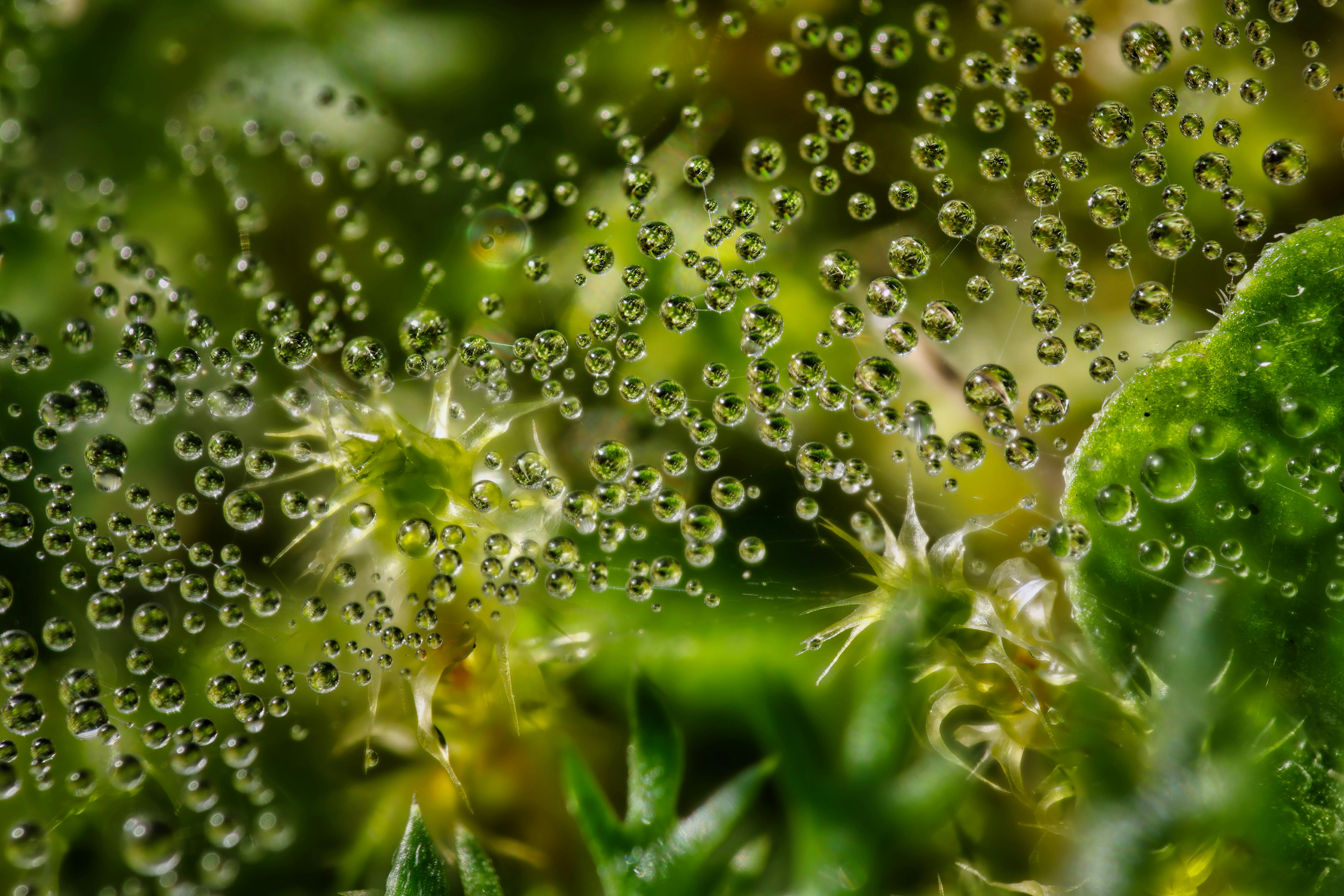 Micro Goals for Better Productivity: Boost Your Efficiency