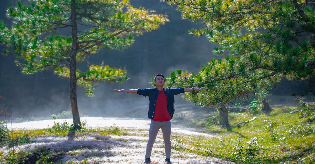 person standing in sunlight at 8am, looking energetic and peaceful, natural morning light
