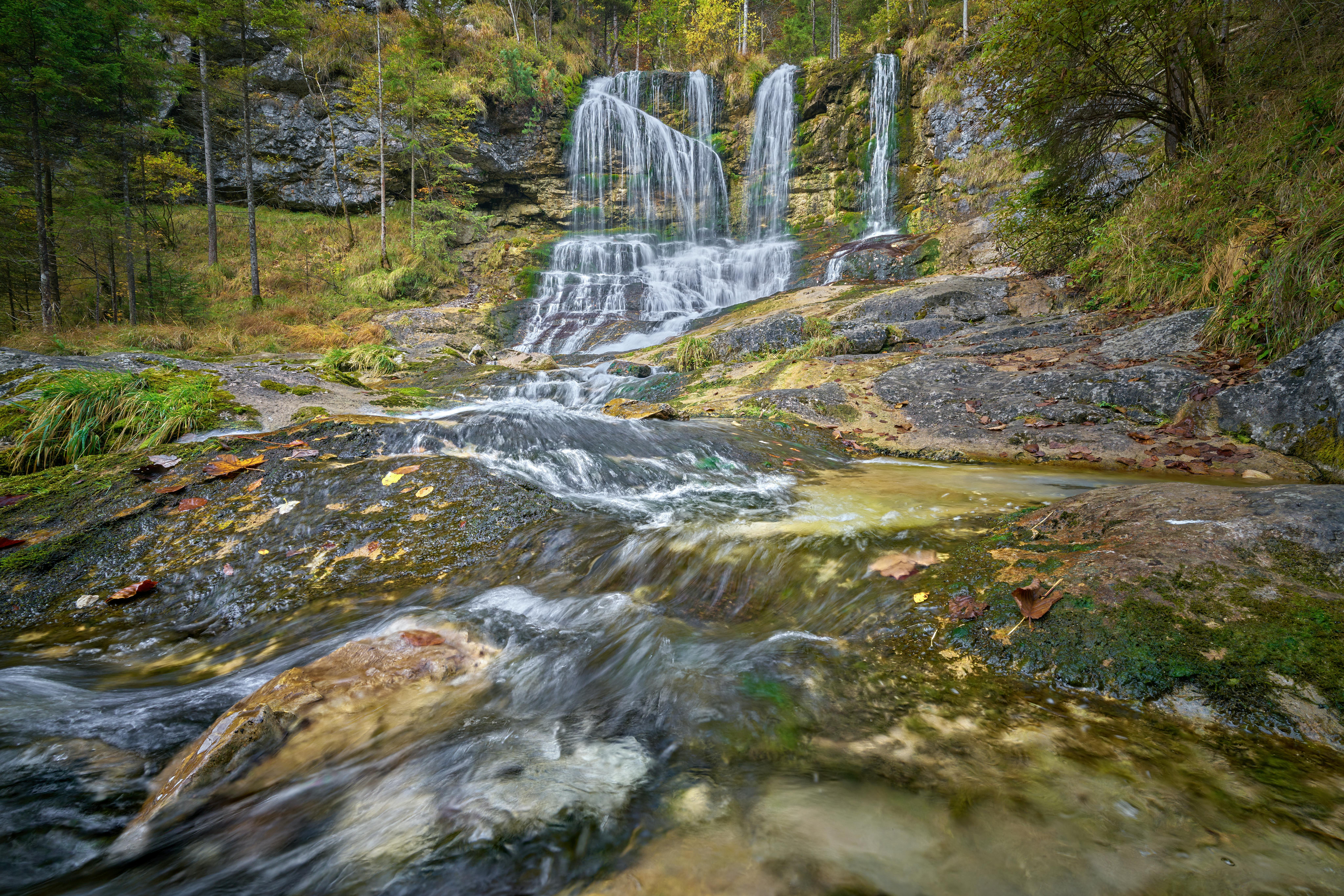 Discovering the Bliss of Fragrant Hideaways