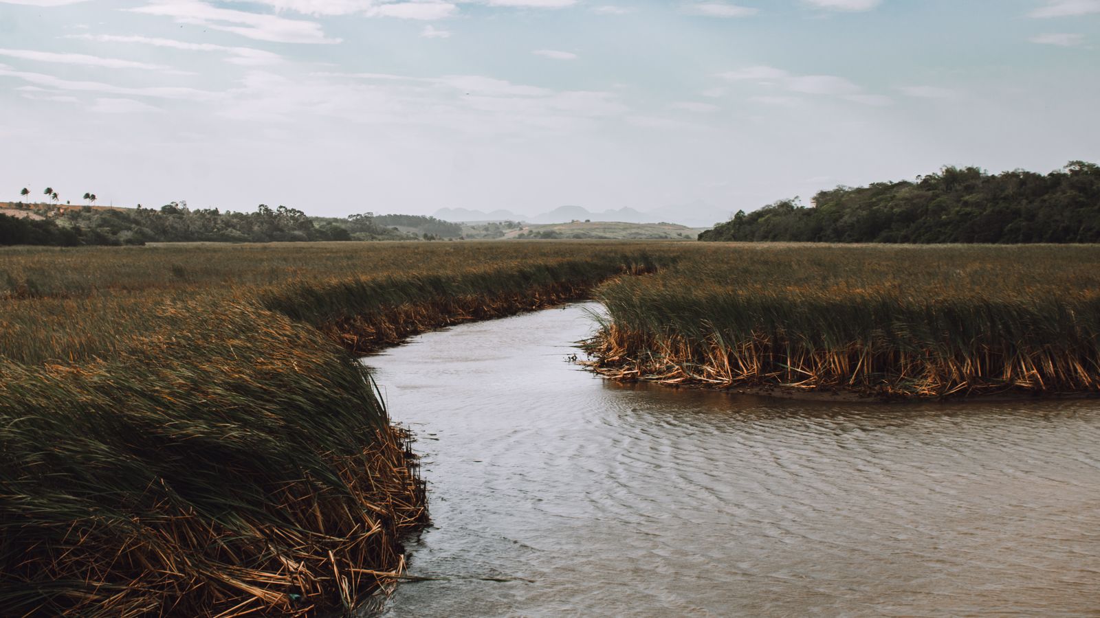 Scenic river bend in lush wetlands landscape, Eswatini