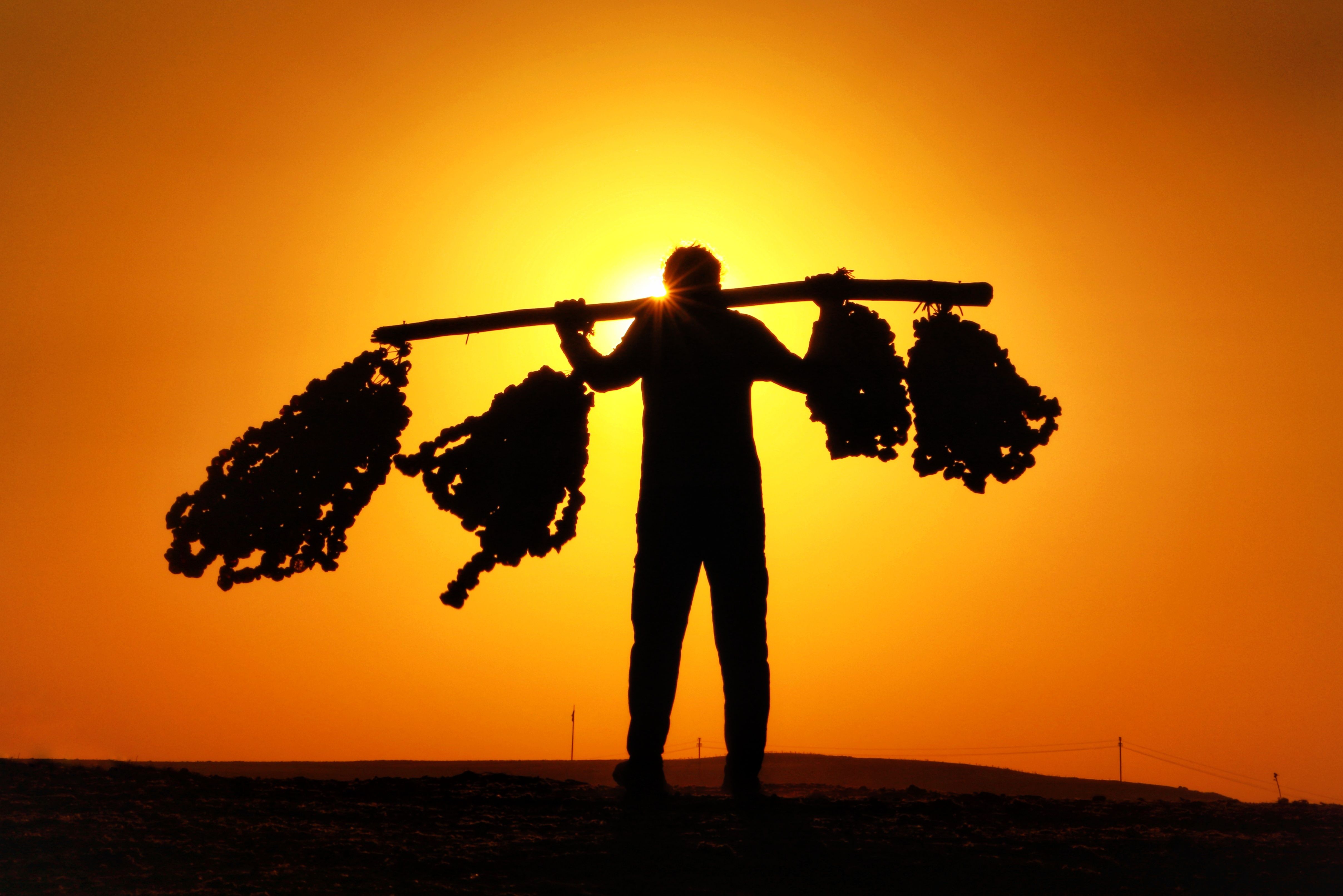 Silueta de un agricultor al atardecer cargando cosecha sobre su hombro