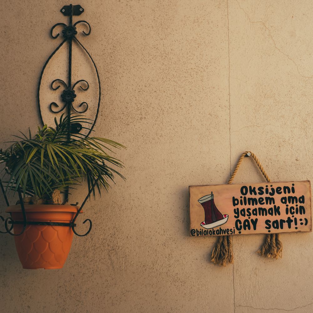 Plastering and Skimming in Lamorbey — woodwork brushed to a crisp, smooth line