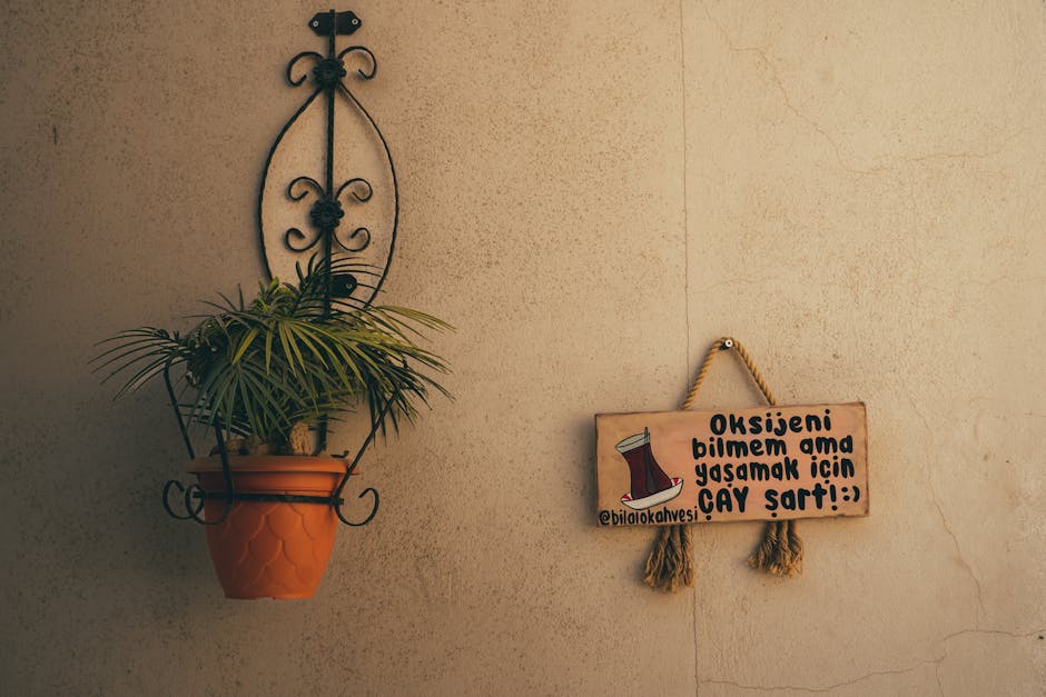 The Complete Houseplant Care Guide for Thriving Indoor Gardens