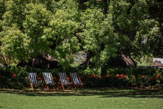 Sunny garden scene with striped deck chairs under lush green trees and vibrant flowers.