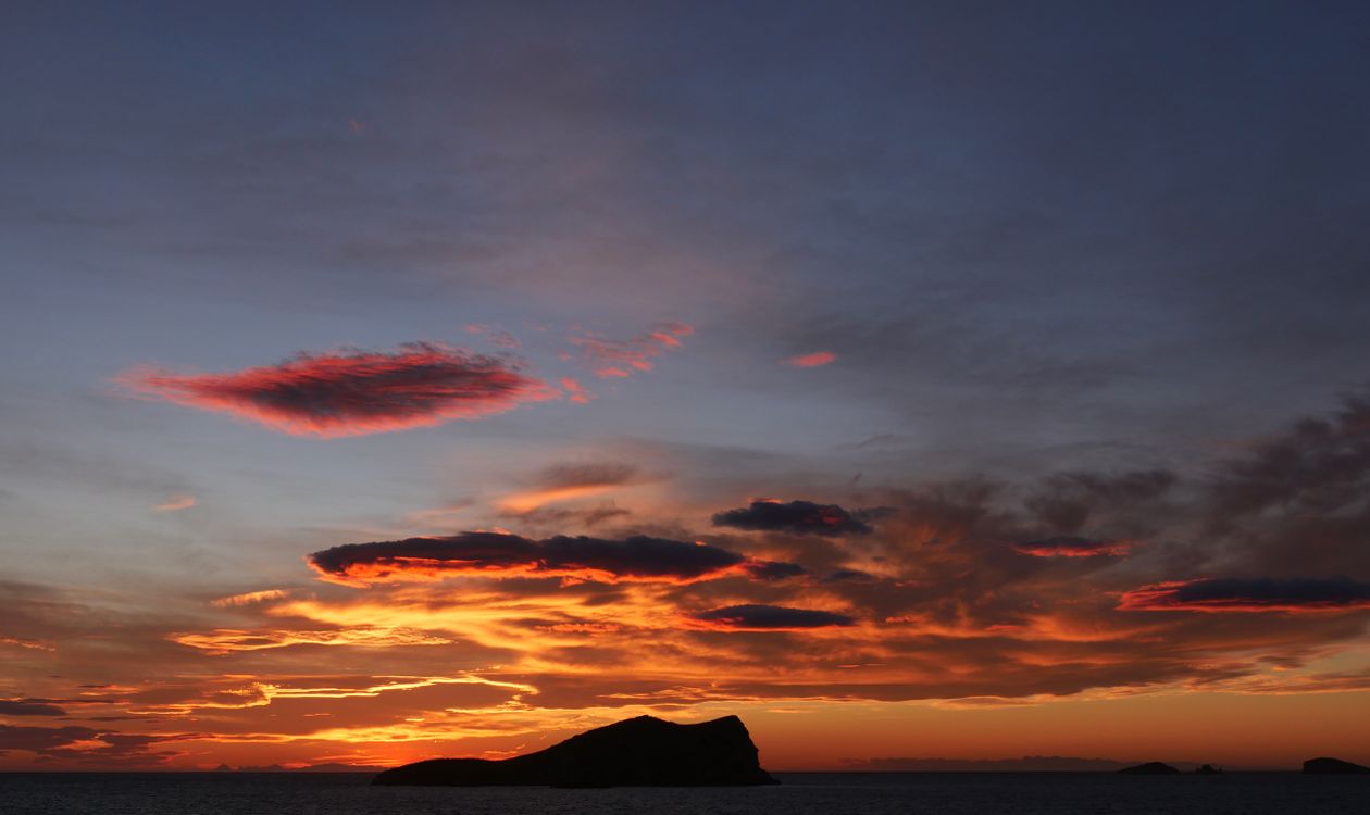 Live Music in Ibiza This Week (21–25 October 2026): Rumba, Flamenco, Reggae and a Dubtaisers Finale
