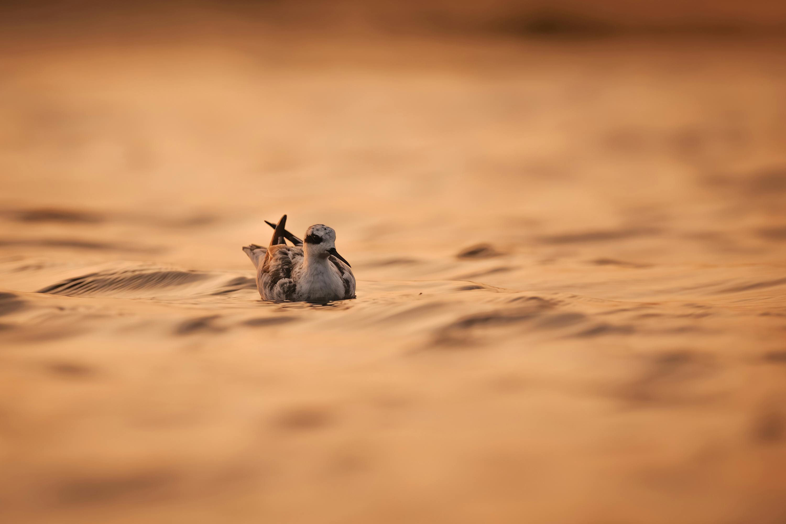 政治：國台辦指控阻礙兩岸對話 陸委會反批「九二共識」才是障礙