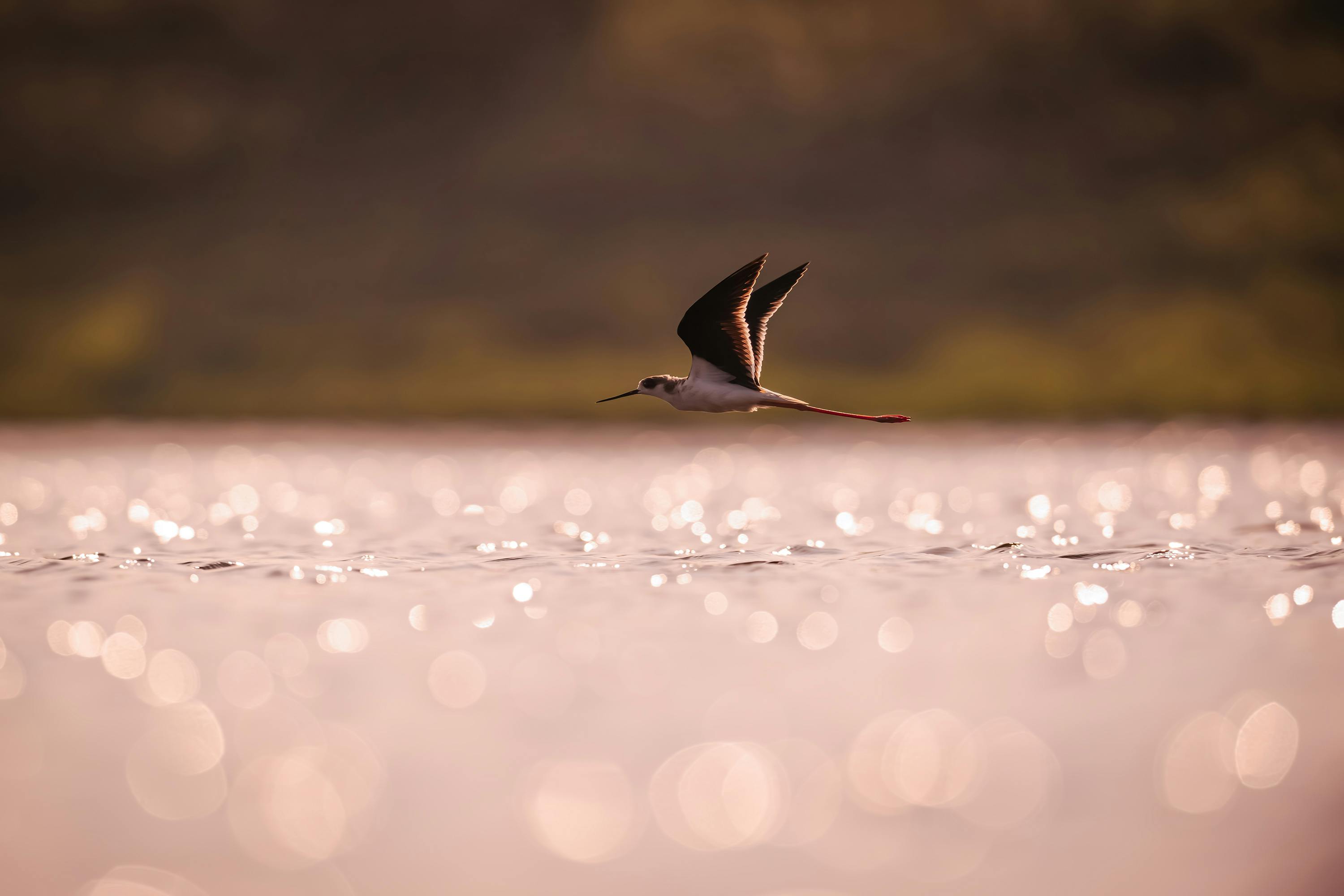 政治：國台辦指控阻礙兩岸對話 陸委會反批「九二共識」才是障礙