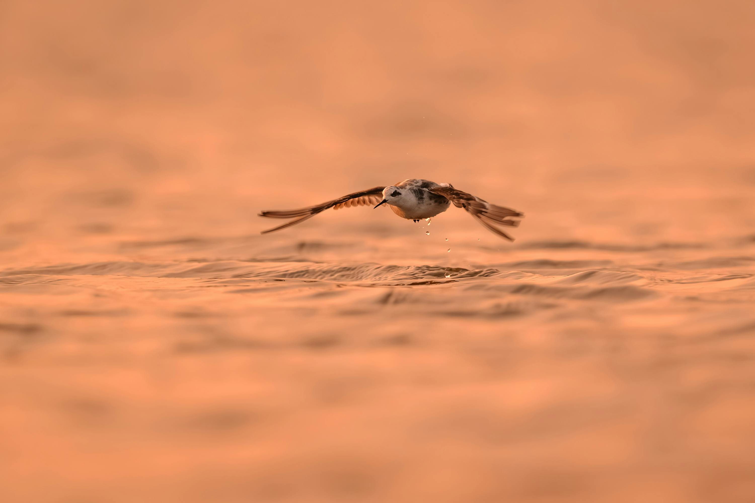 政治：國台辦指控阻礙兩岸對話 陸委會反批「九二共識」才是障礙