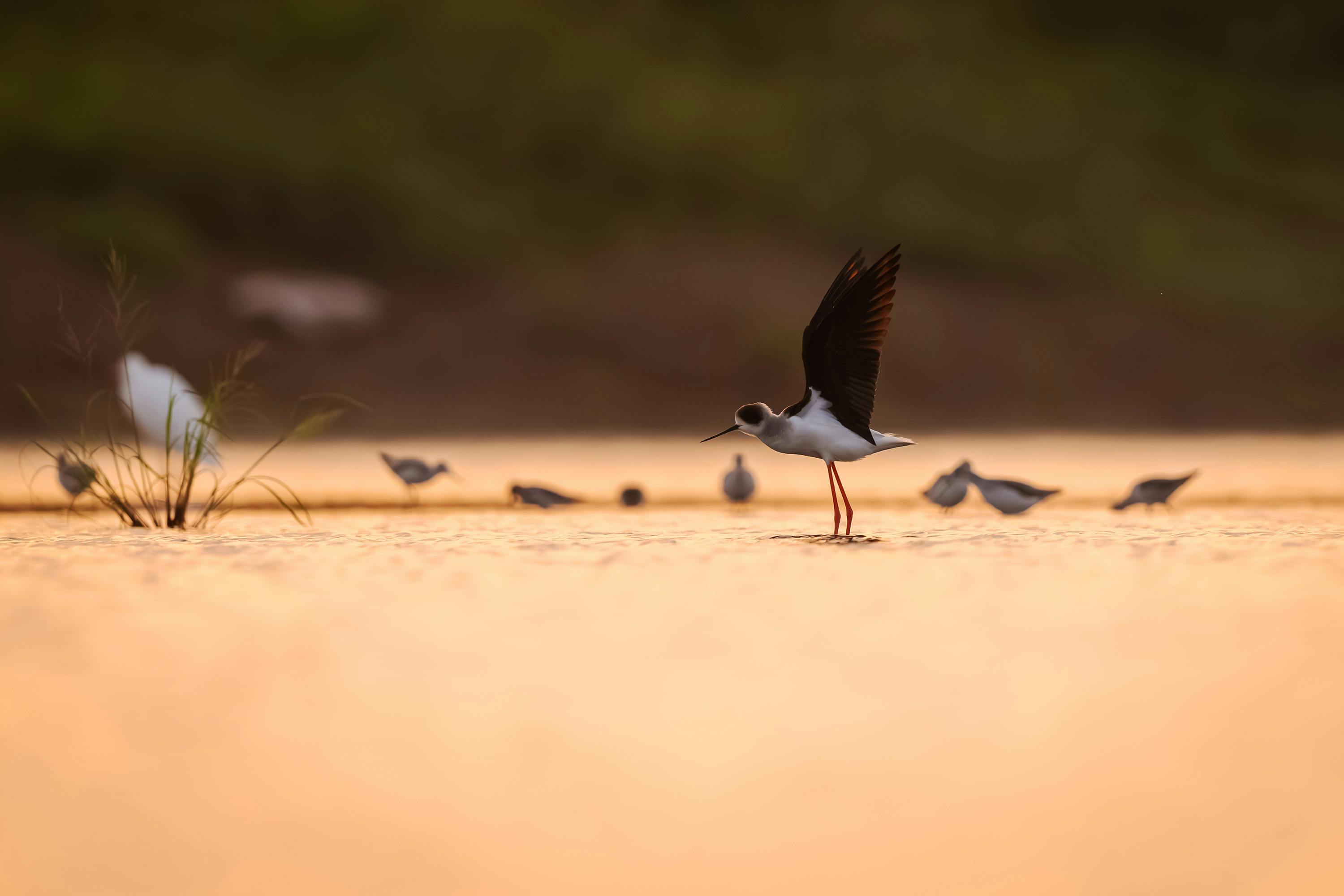 政治：國台辦指控阻礙兩岸對話 陸委會反批「九二共識」才是障礙