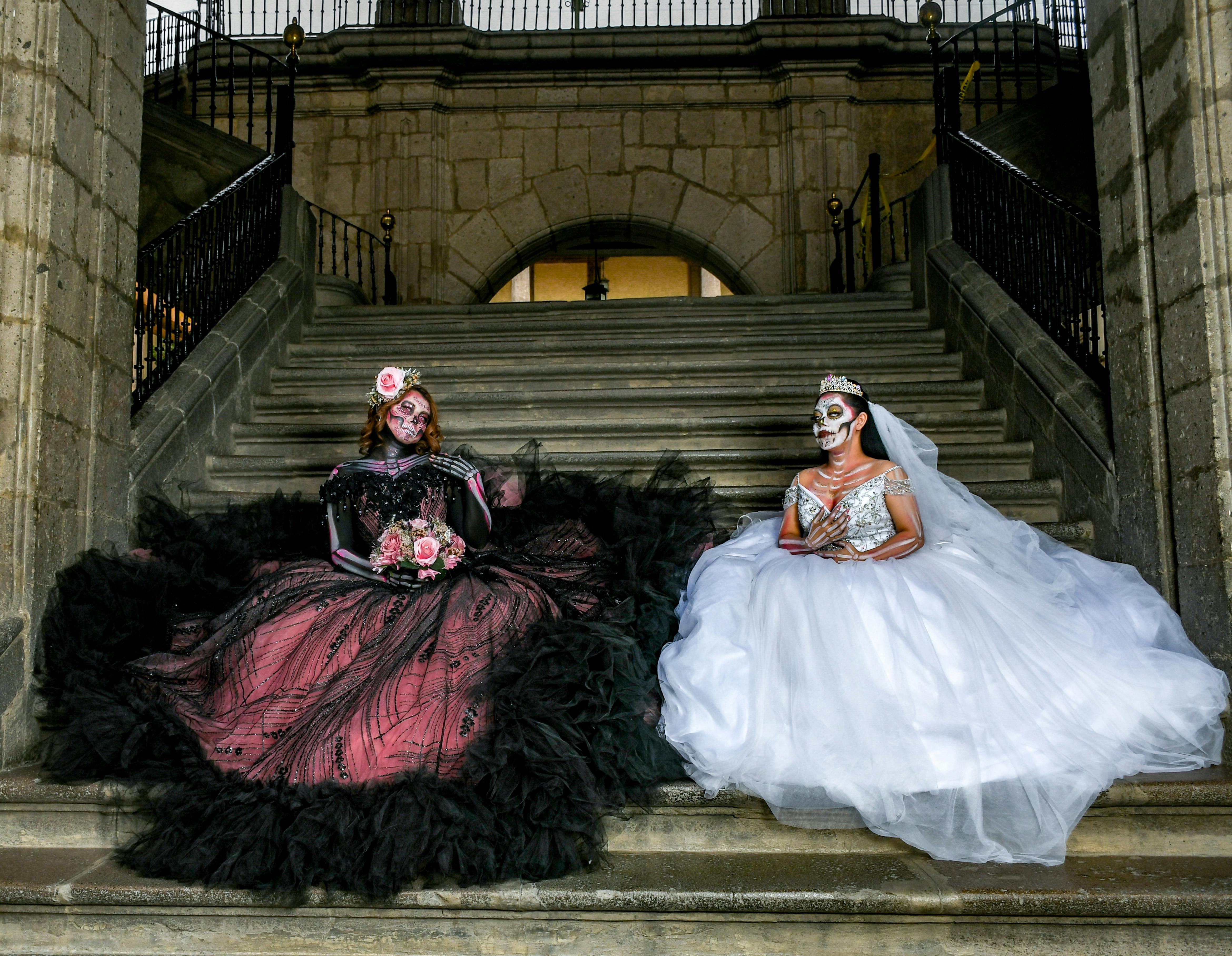 銅鑼杭菊生活節11月盛大登場，漫遊絢麗杭菊花海