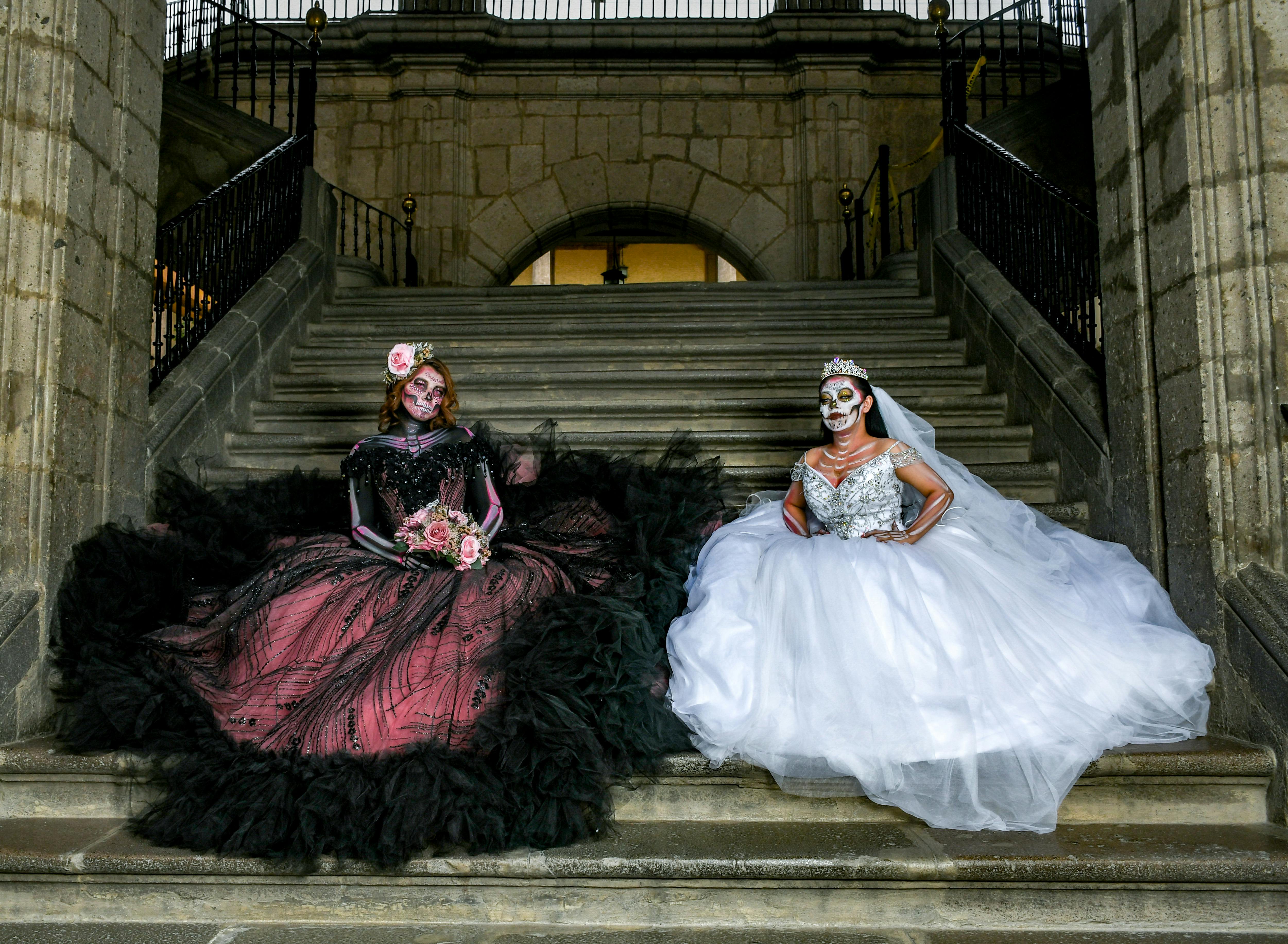 銅鑼杭菊生活節11月盛大登場，漫遊絢麗杭菊花海