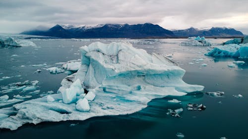 Semiz odamlarning buzuqligi fotosuratlari Semiz odamlarning buzuqligi fotosuratlari