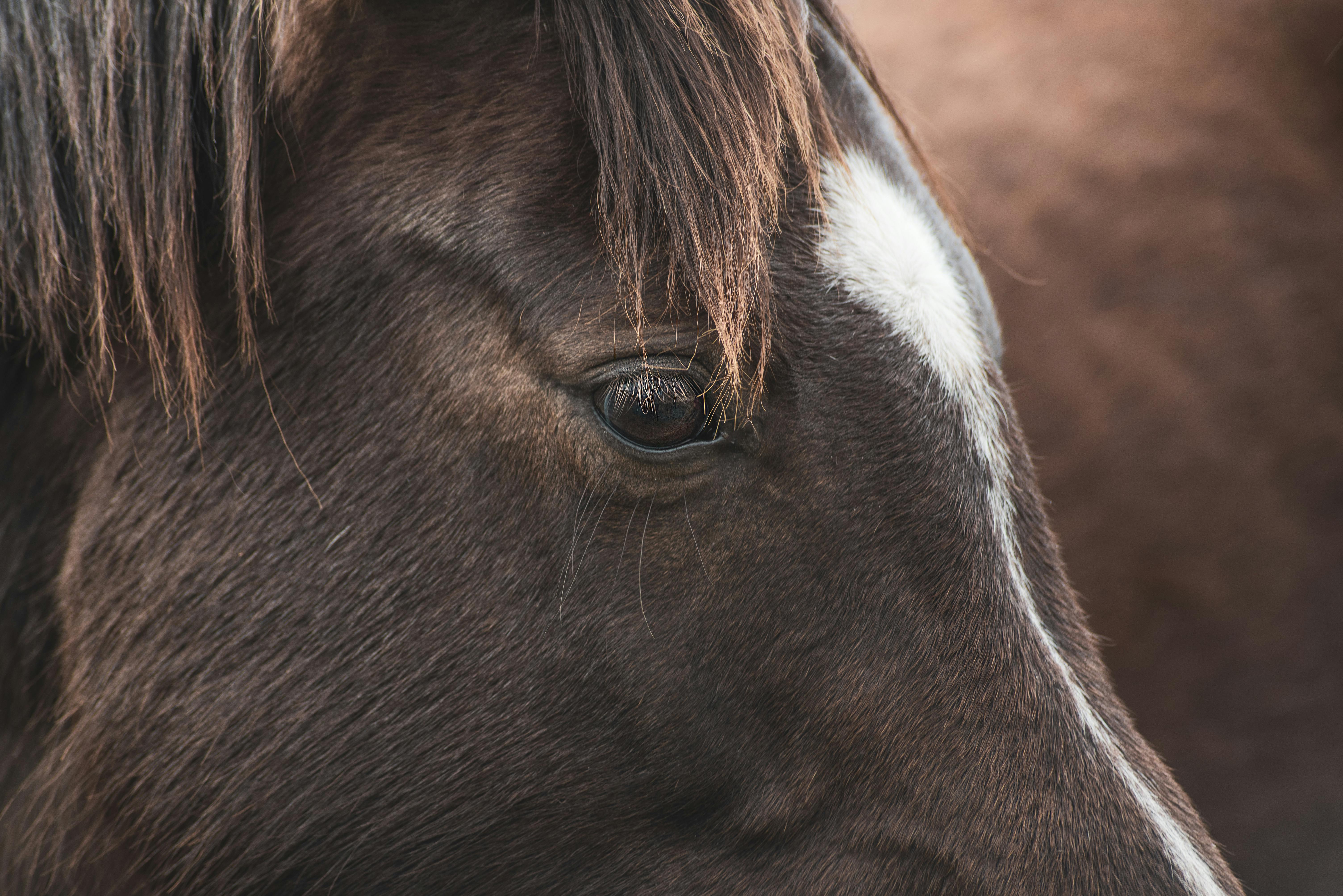 更年期婦女代謝症候群風險升高，國健署推「F4」生活法則穩身心