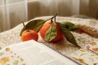 Warm indoor scene featuring tangerines and an open book on a cozy blanket.