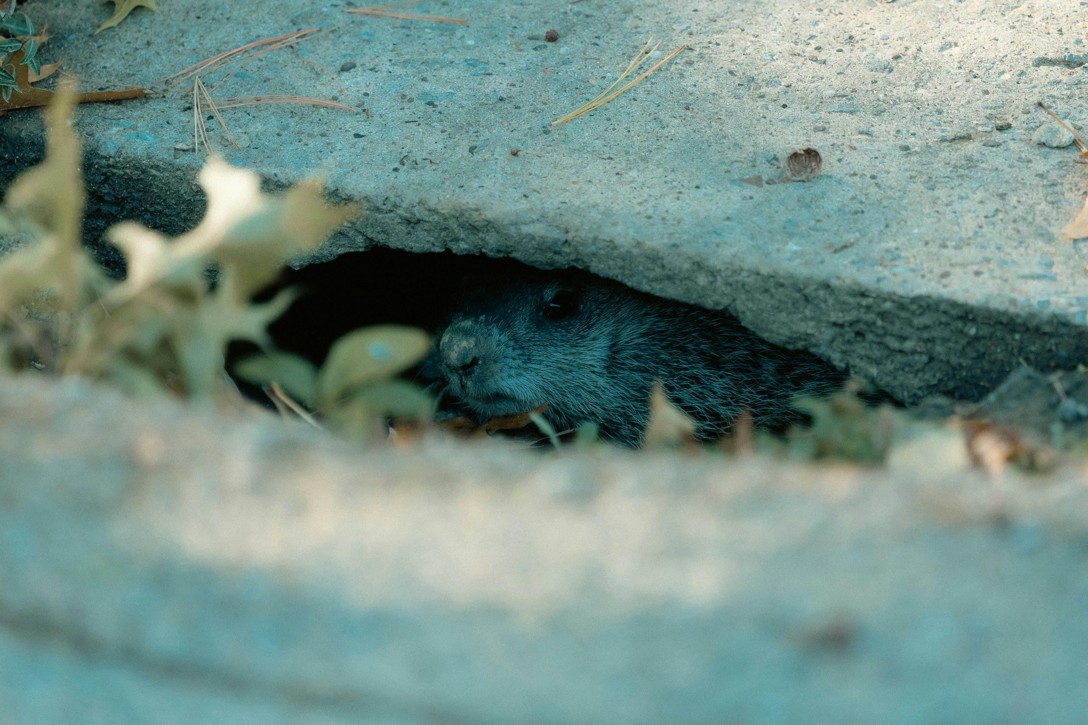 富生達國際攜手永續天使聯盟 共創綠生活節美好地球未來