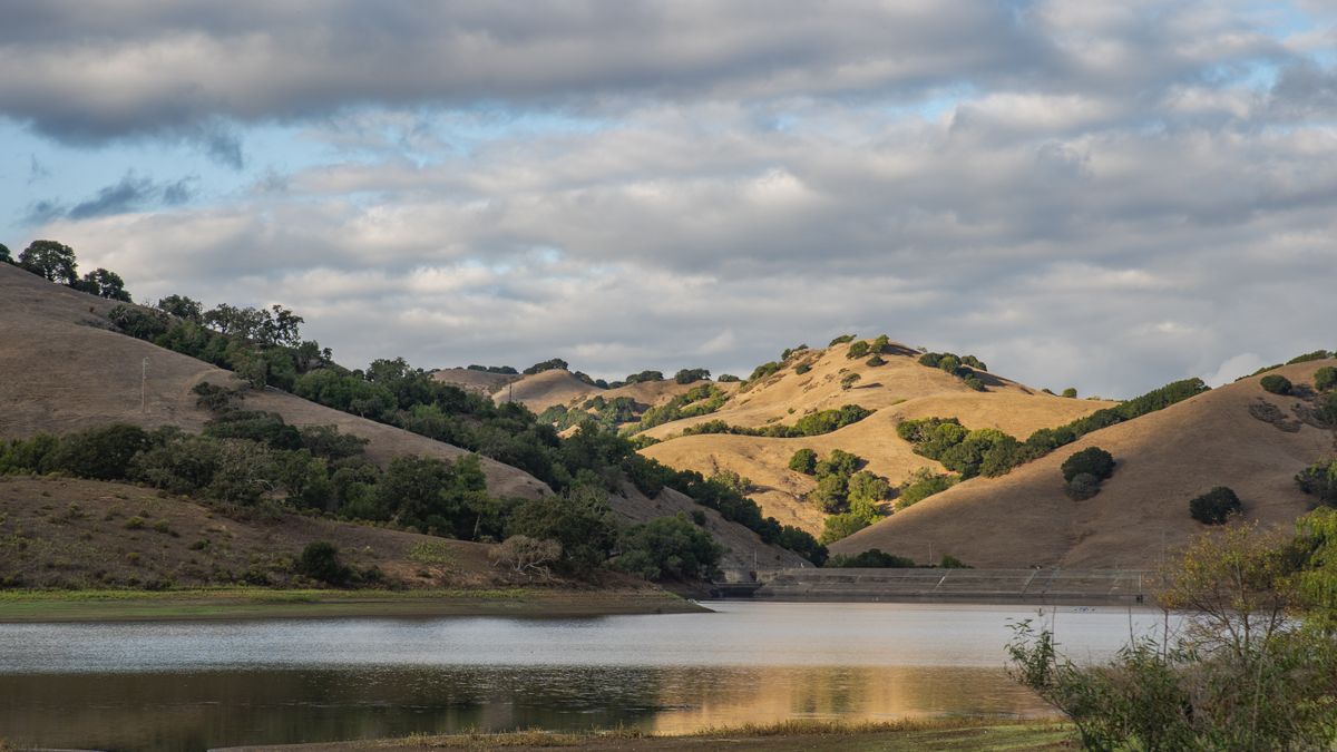 Top Chula Vista, CA Holiday Giveaways With No Purchase Necessary: Safe Entry Guide