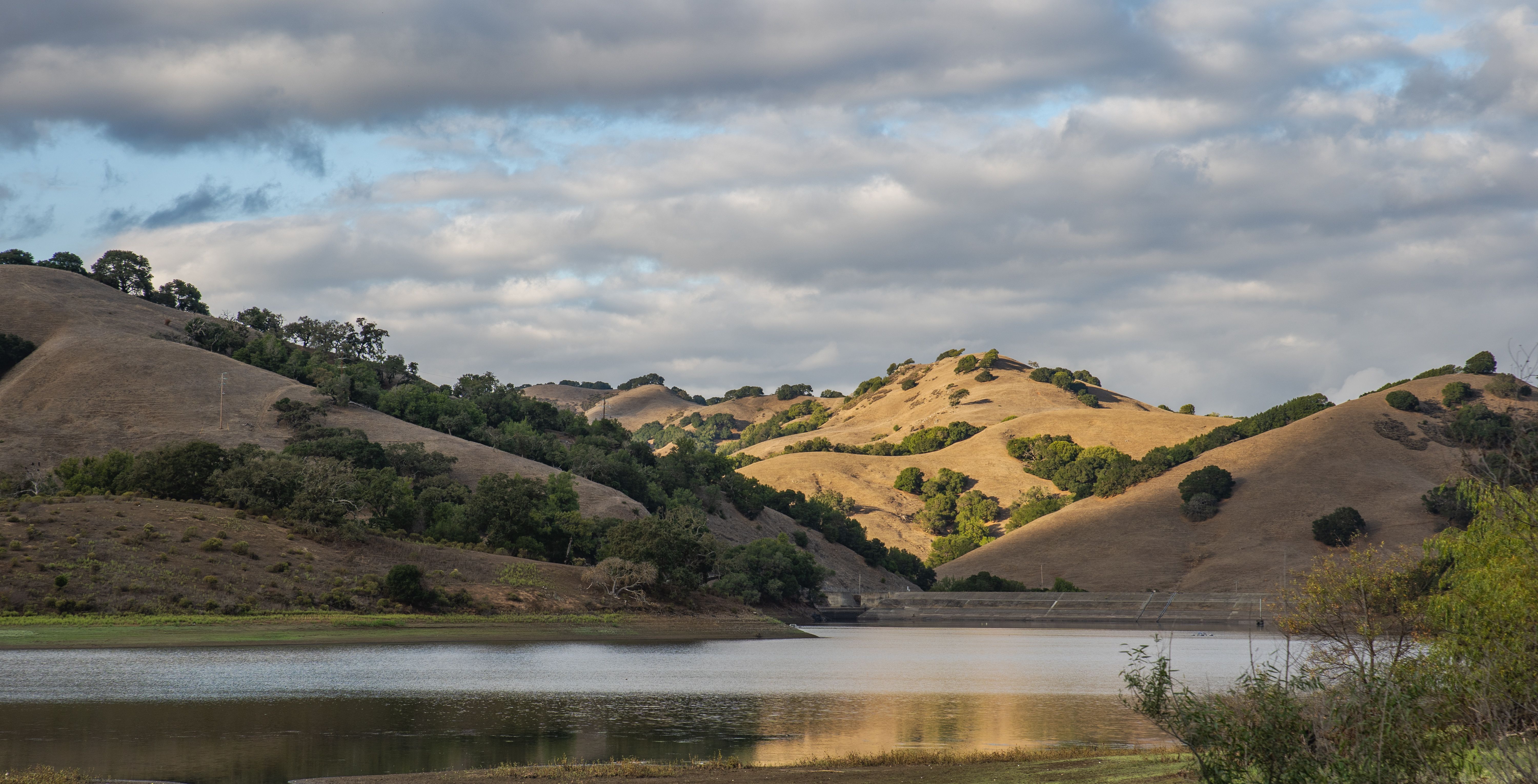 Scenic Landscape with Rolling Hills and Lake · Free Stock Photo