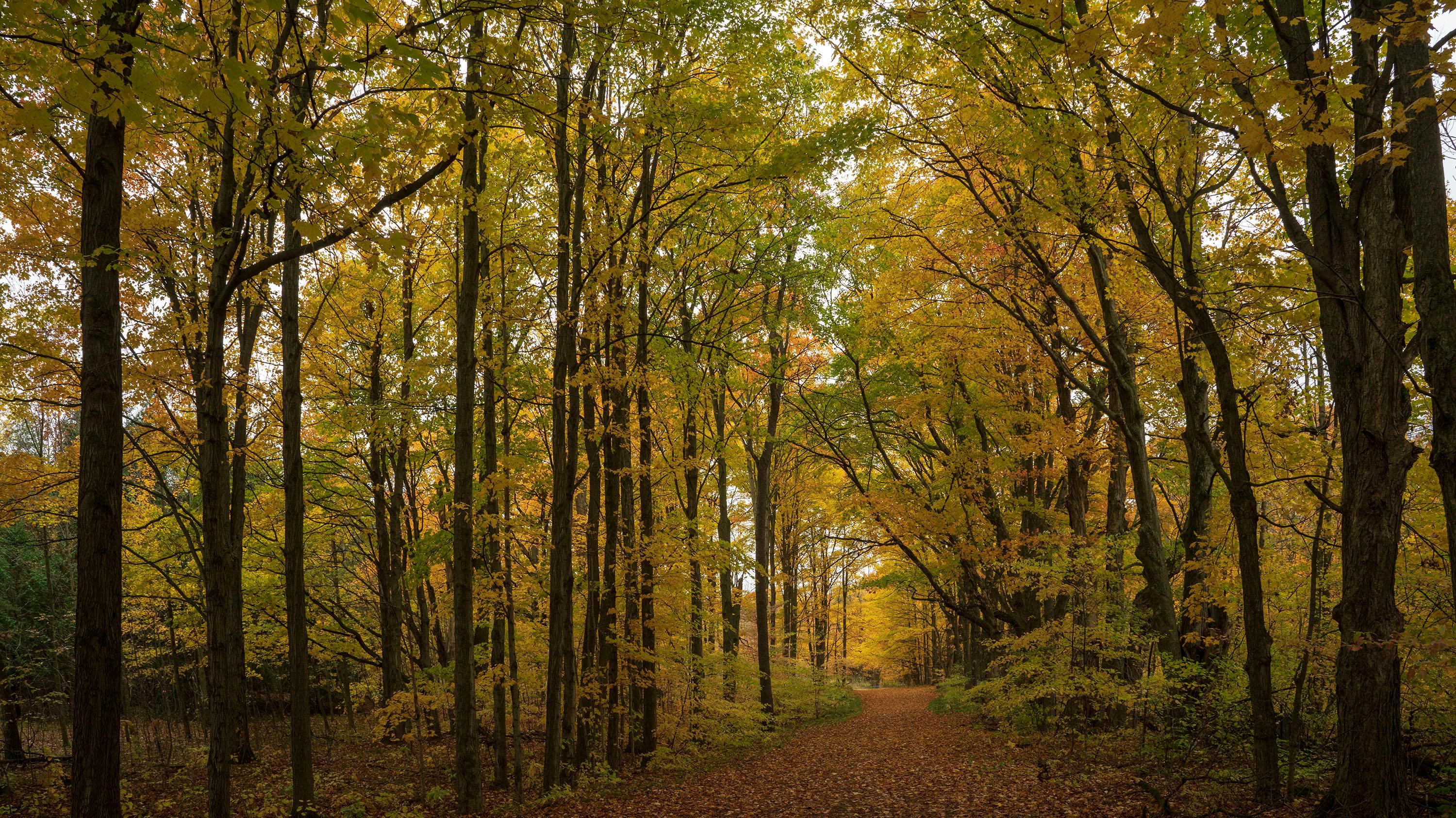 DuPage Forest Preserve executive director leaving for city manager job in Florida — Photo by Hyukman Kwon on Pexels