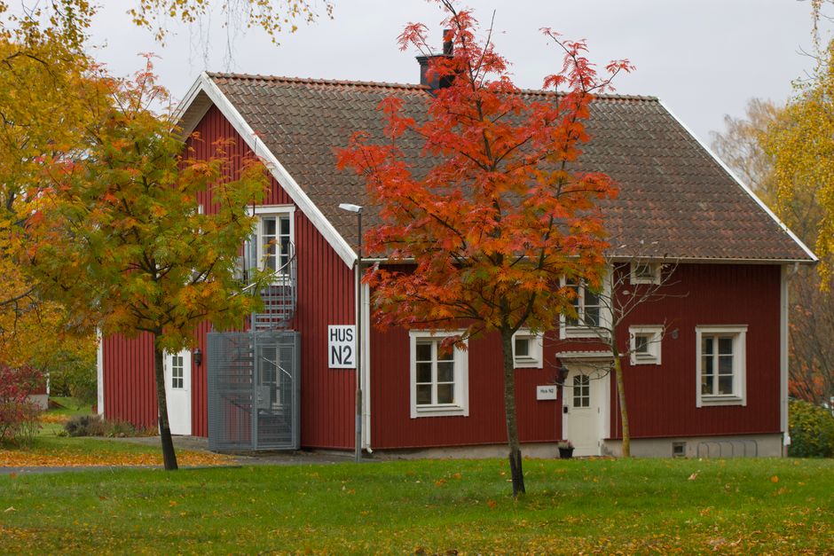 Piyasa trendleri 2025 Rehberi Piyasa trendleri 2025 Rehberi