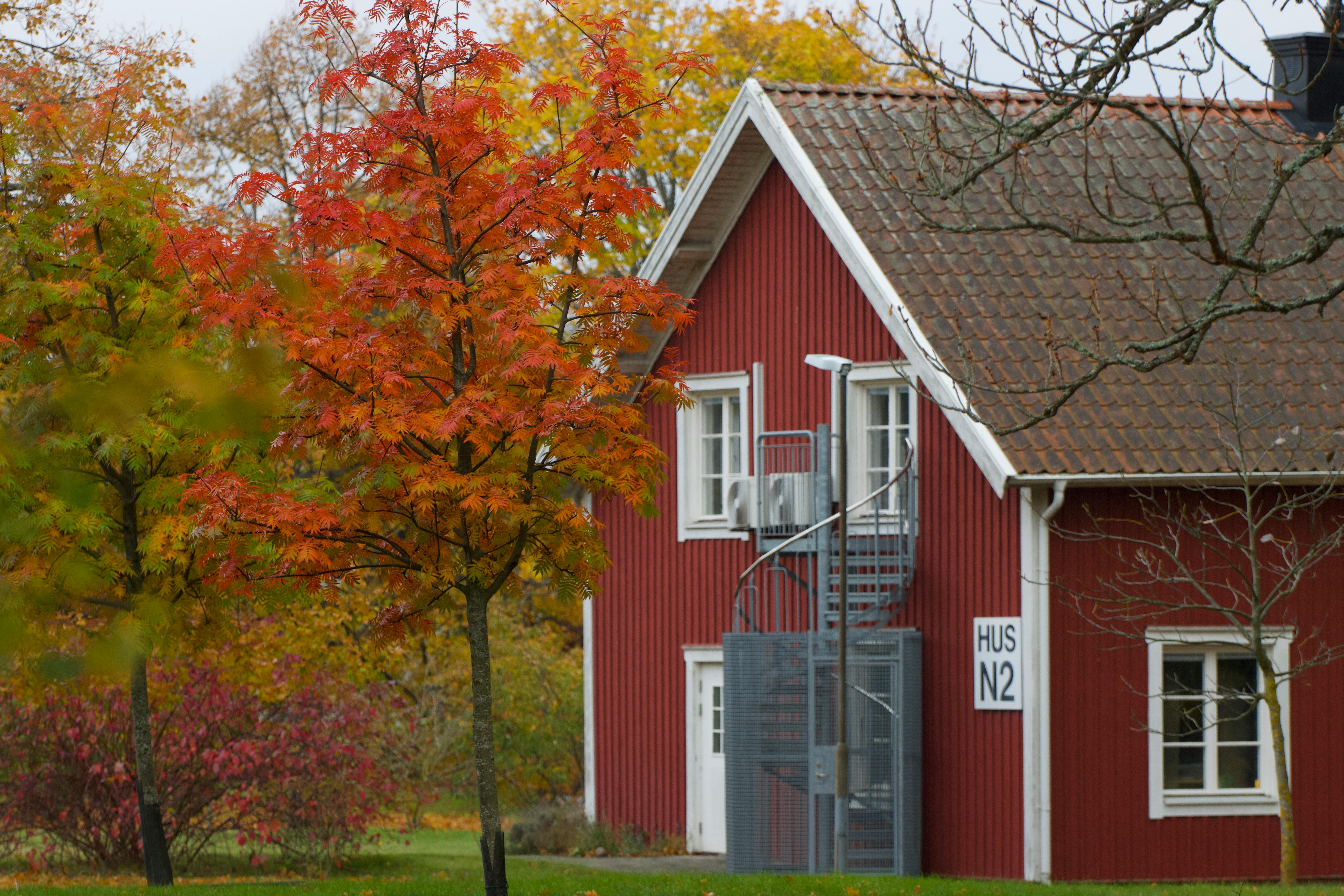 德州禁中國人購房引爭議 移民感政治陰影難避