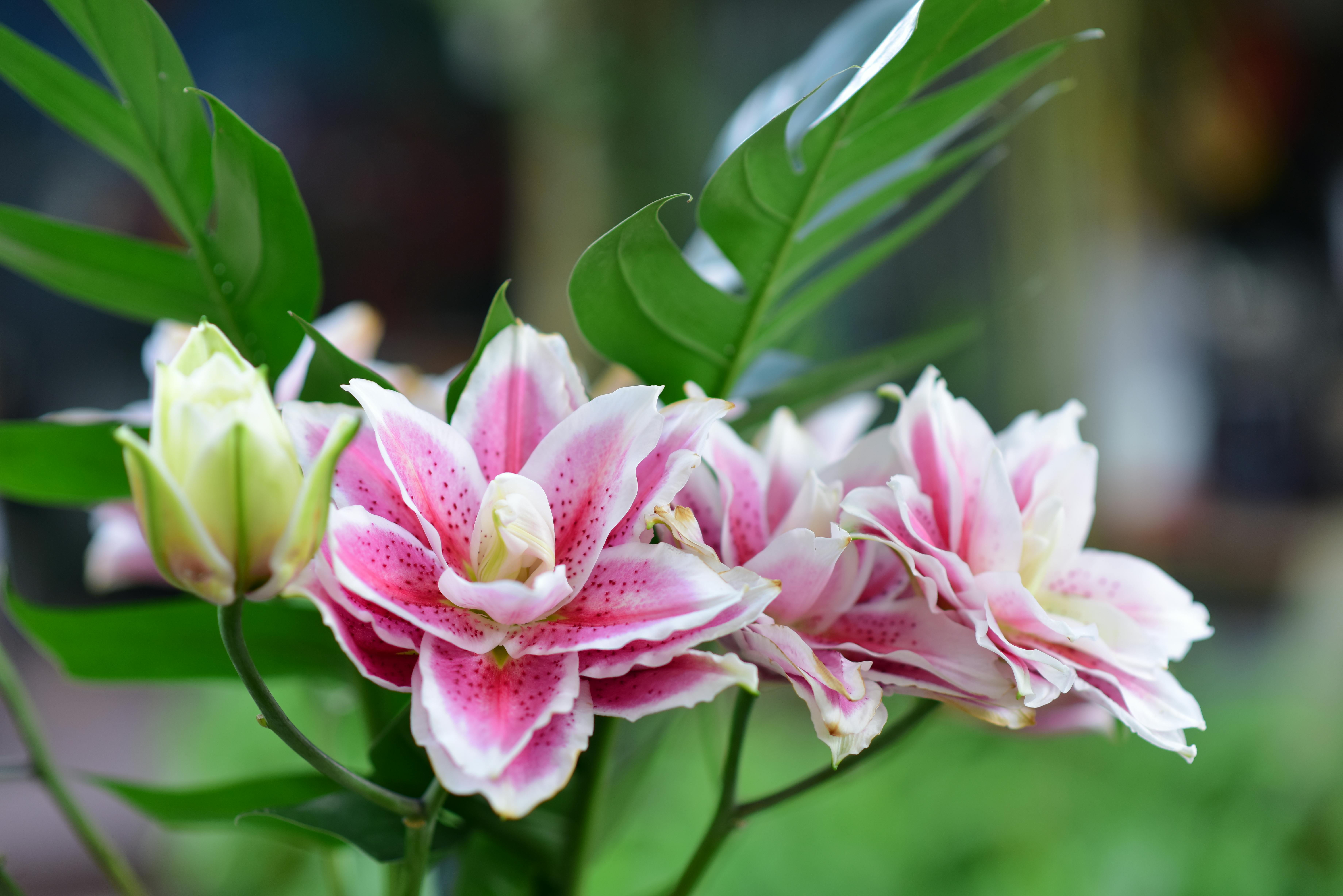 Top 100 Life Hacks You Never Knew