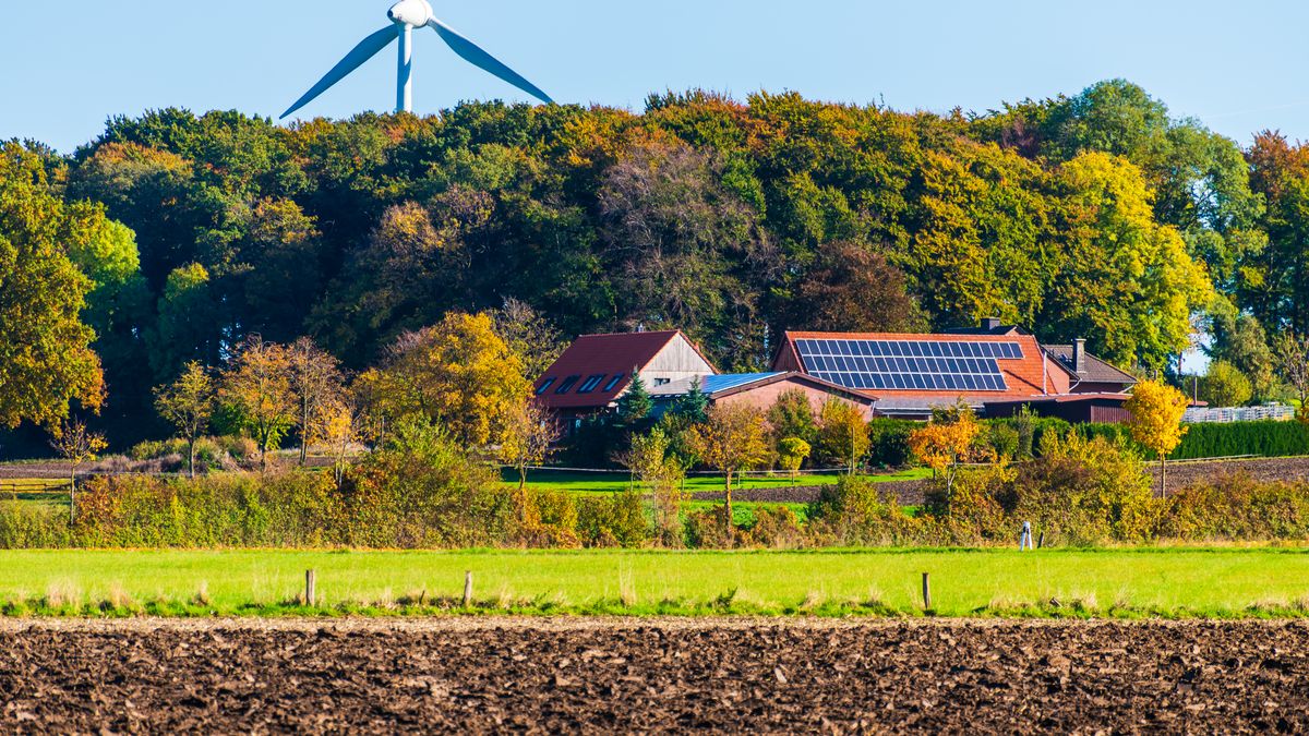 Les tendances des investissements verts en 2026 : où placer votre argent ? - illustration
