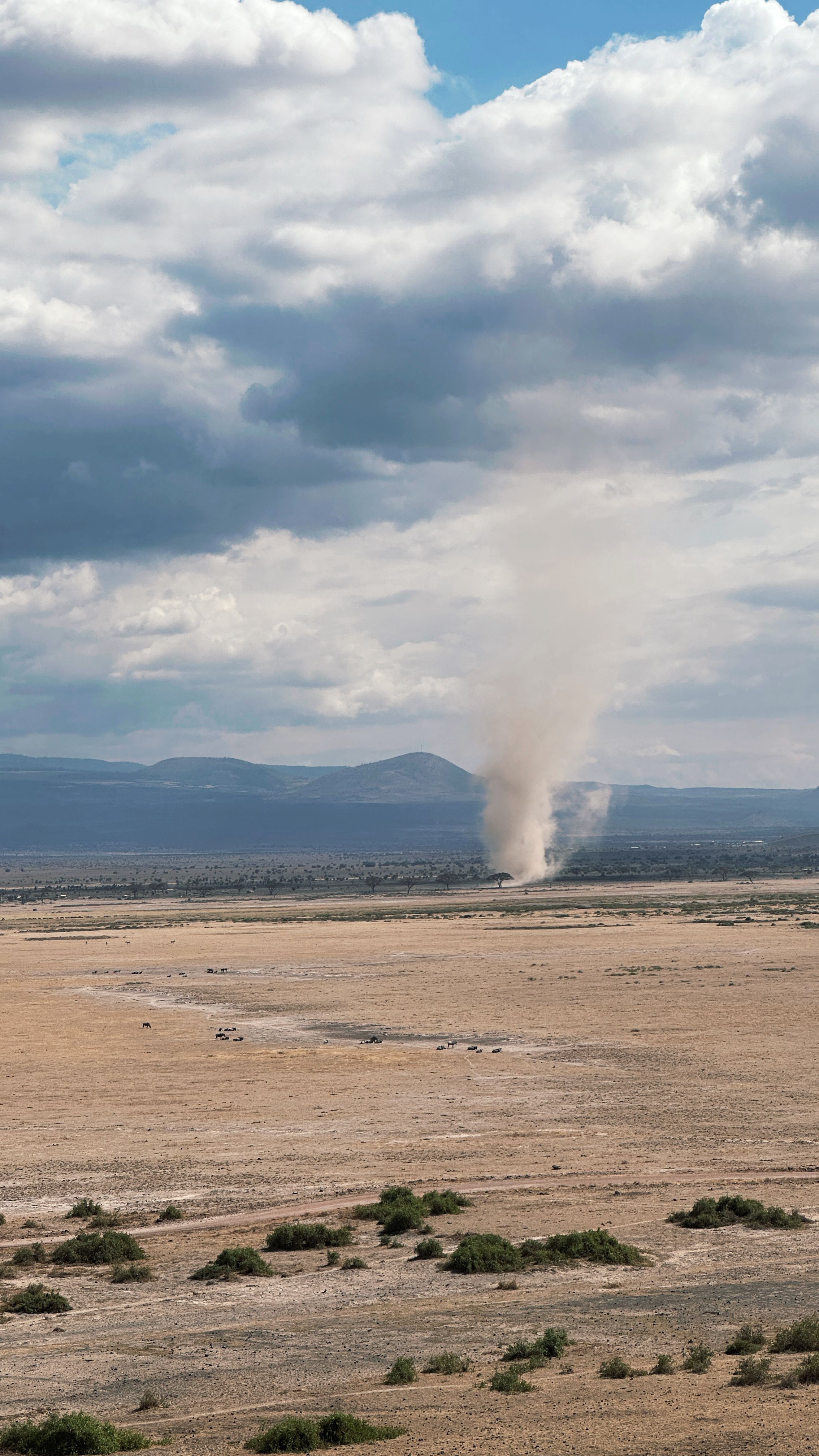 A stunning dust devil spirals across an expansive South African plain under a cloudy sky.