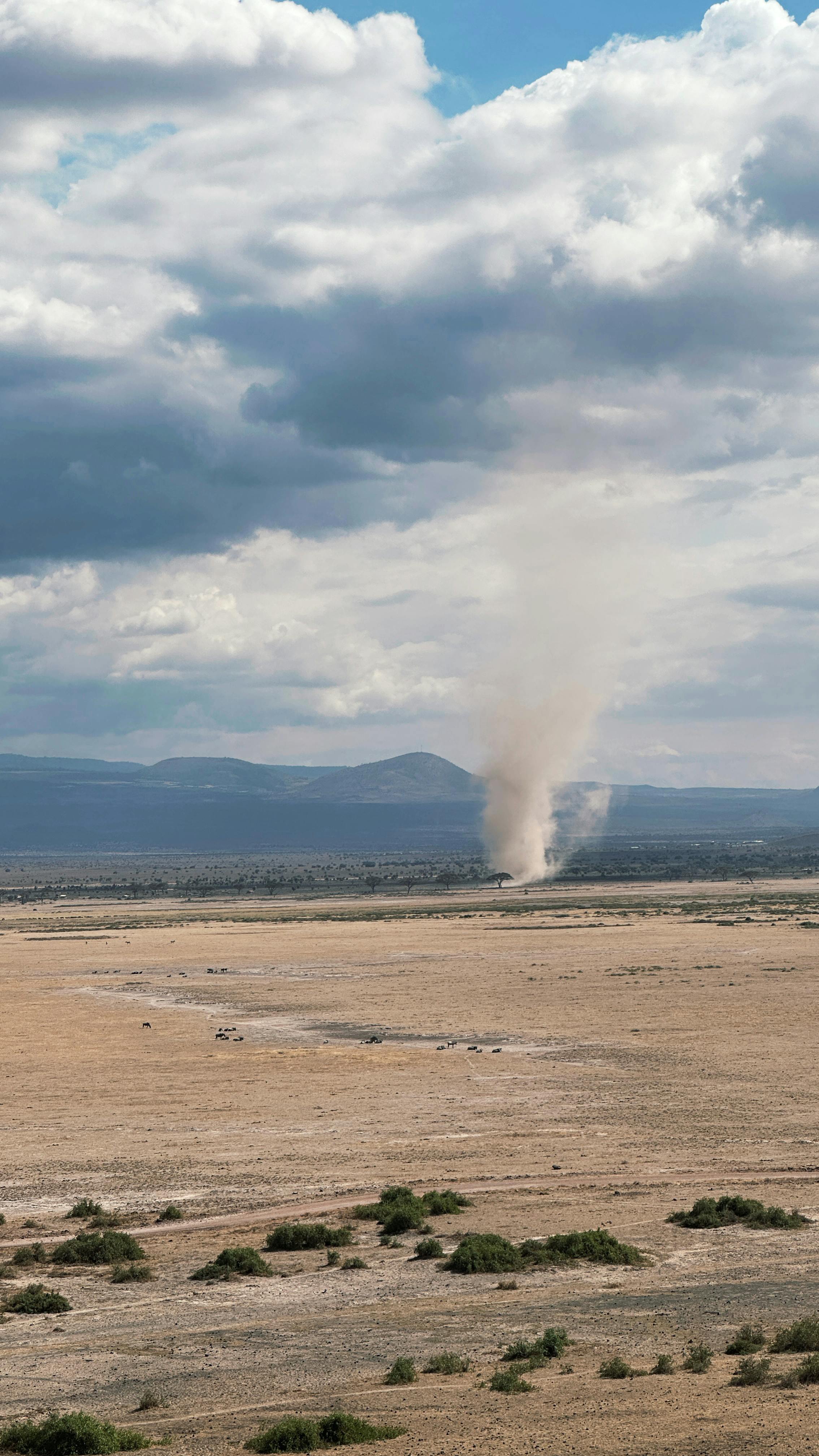 500+] Lightning Wallpapers | Wallpapers.com, image size:2268x4032