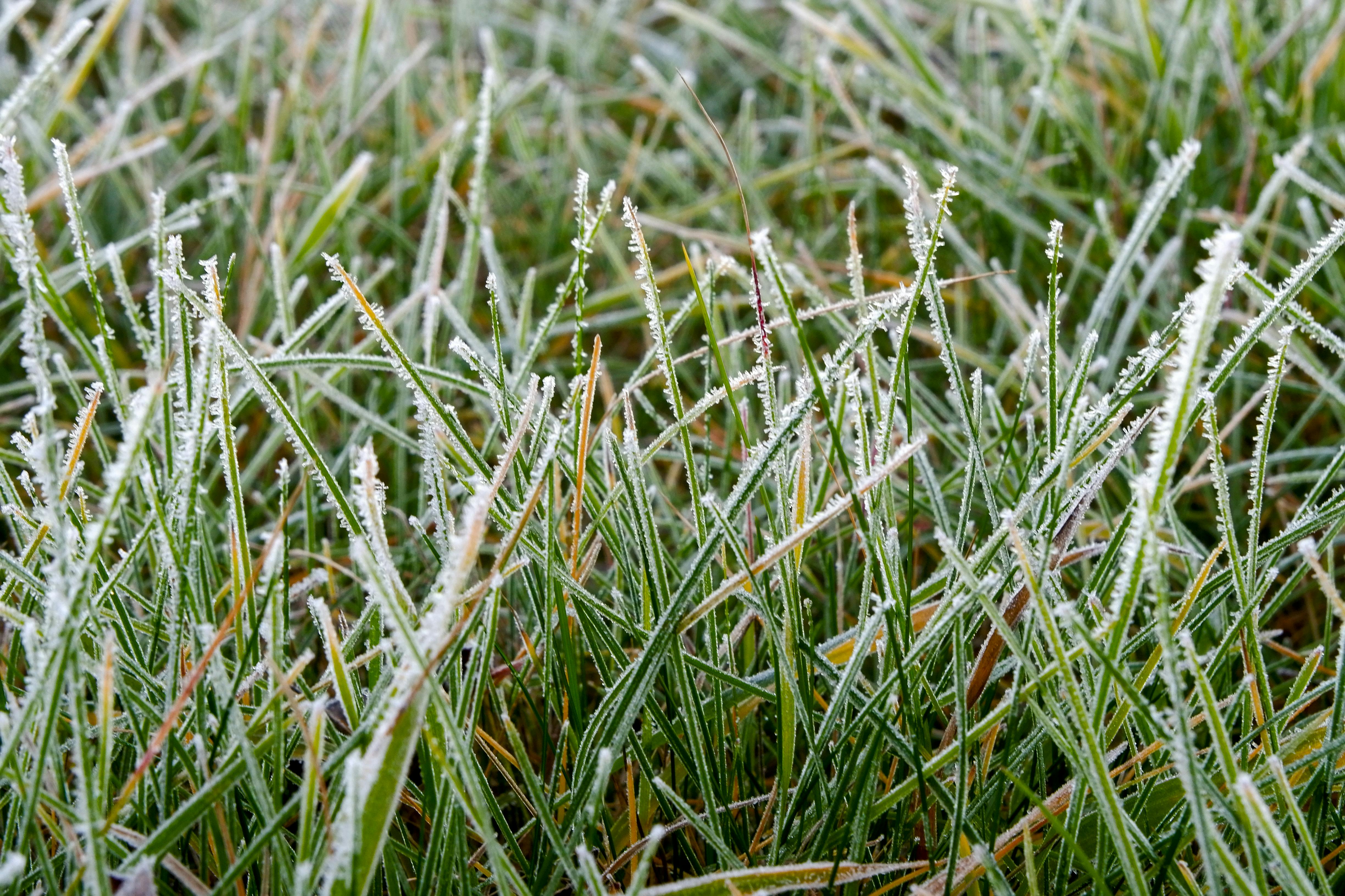 00965 ETF逆勢上漲1.3%，受惠美韓合作與日本政治穩定