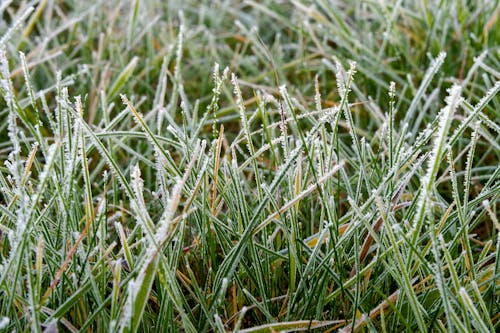 Farmers’ Almanac Outlook: Early Winter Predictions