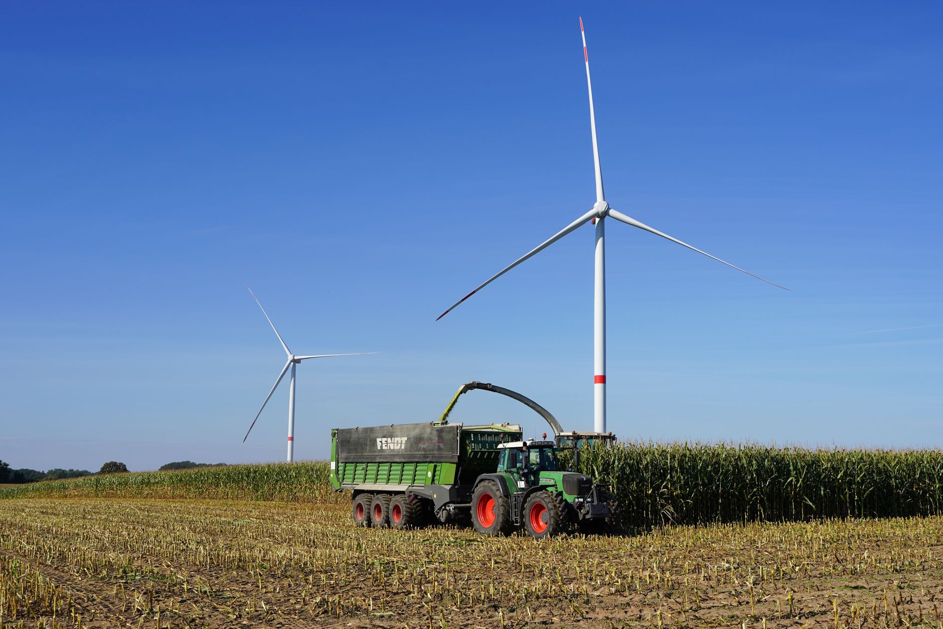 Studiu de caz: cooperativă agricolă din Oltenia care exportă în UE